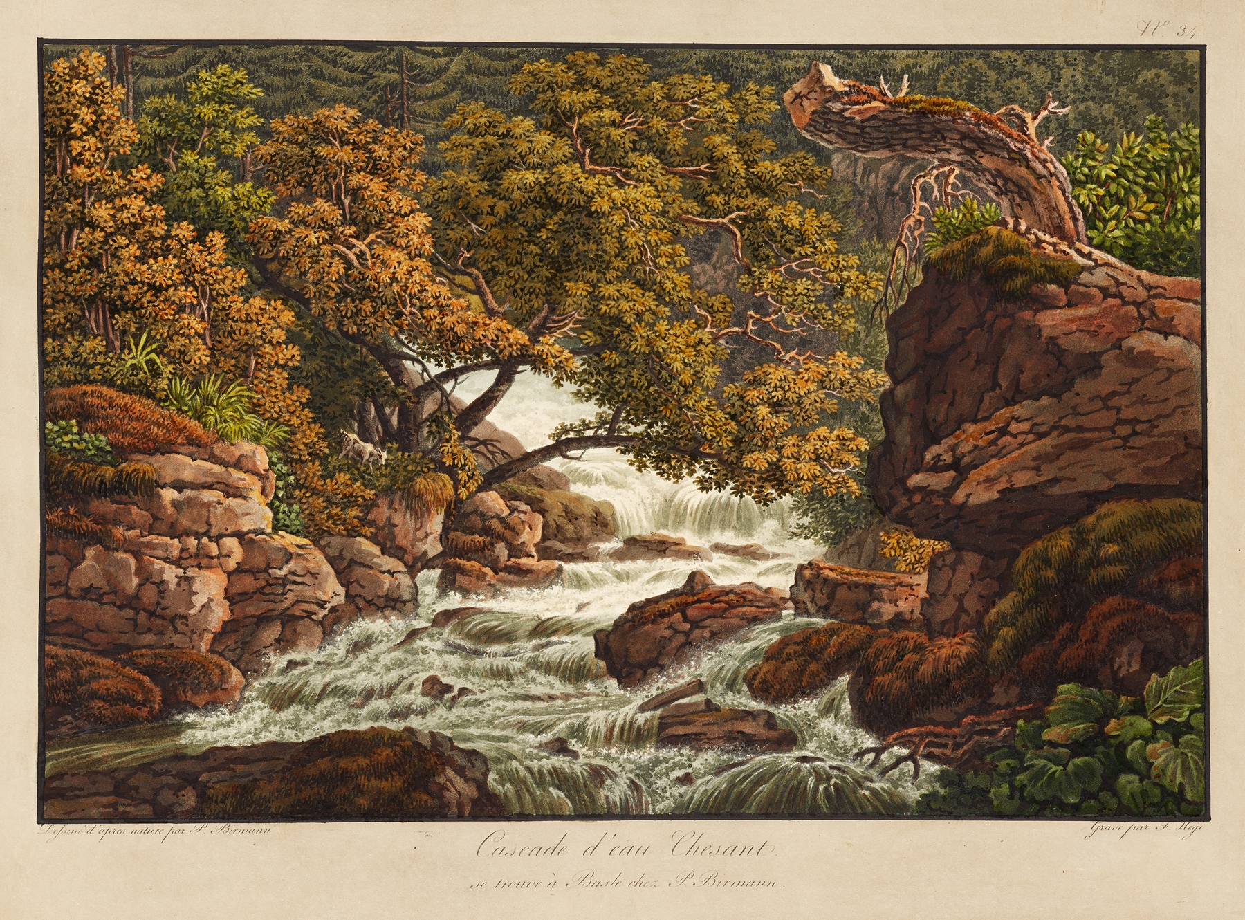 Cascade d’eau Chesant by Peter Birmann, oil painting depicting a waterfall surrounded by lush greenery.