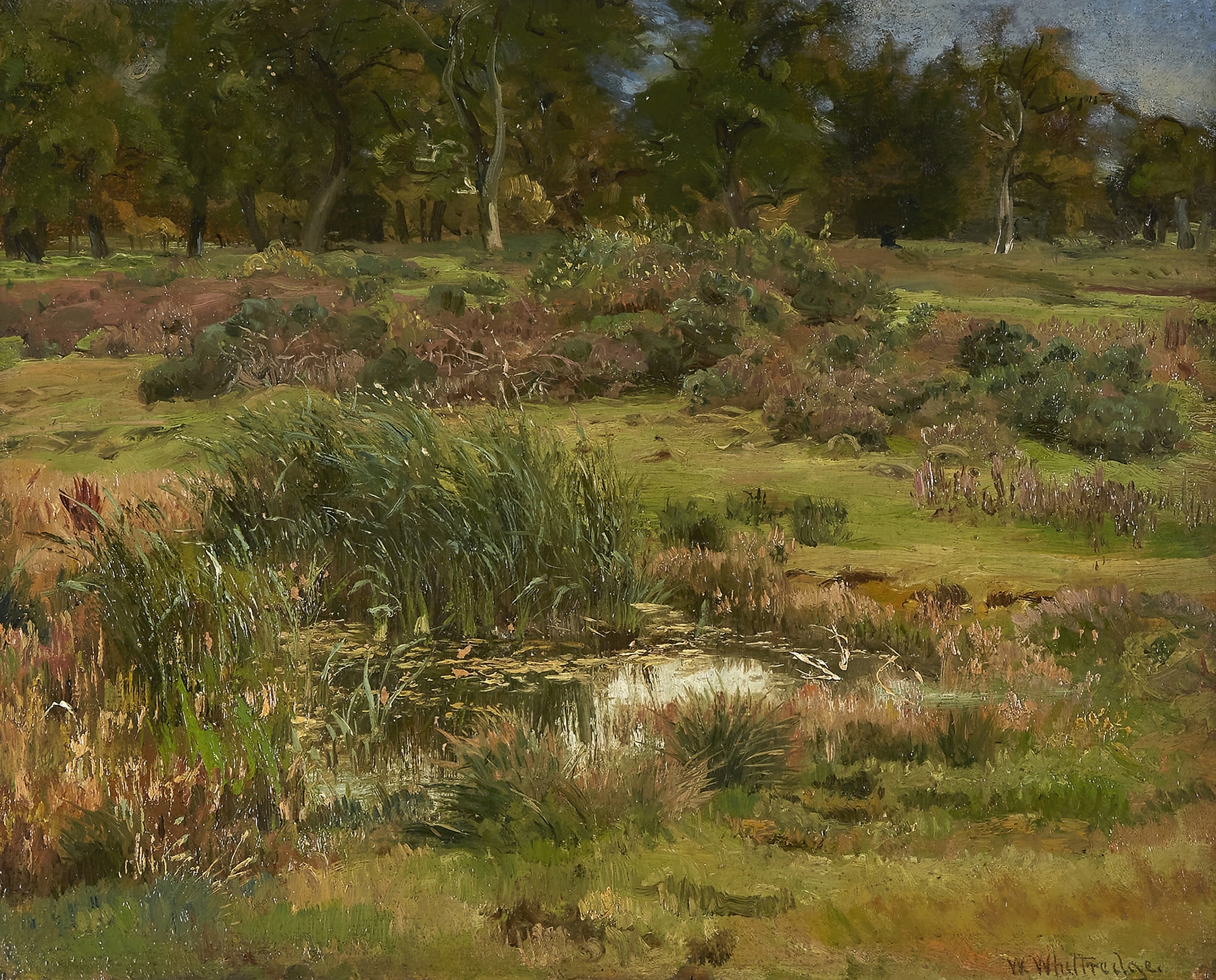 A Study Made in the Sheep Pasture at Namen, by Worthington Whittredge, public domain