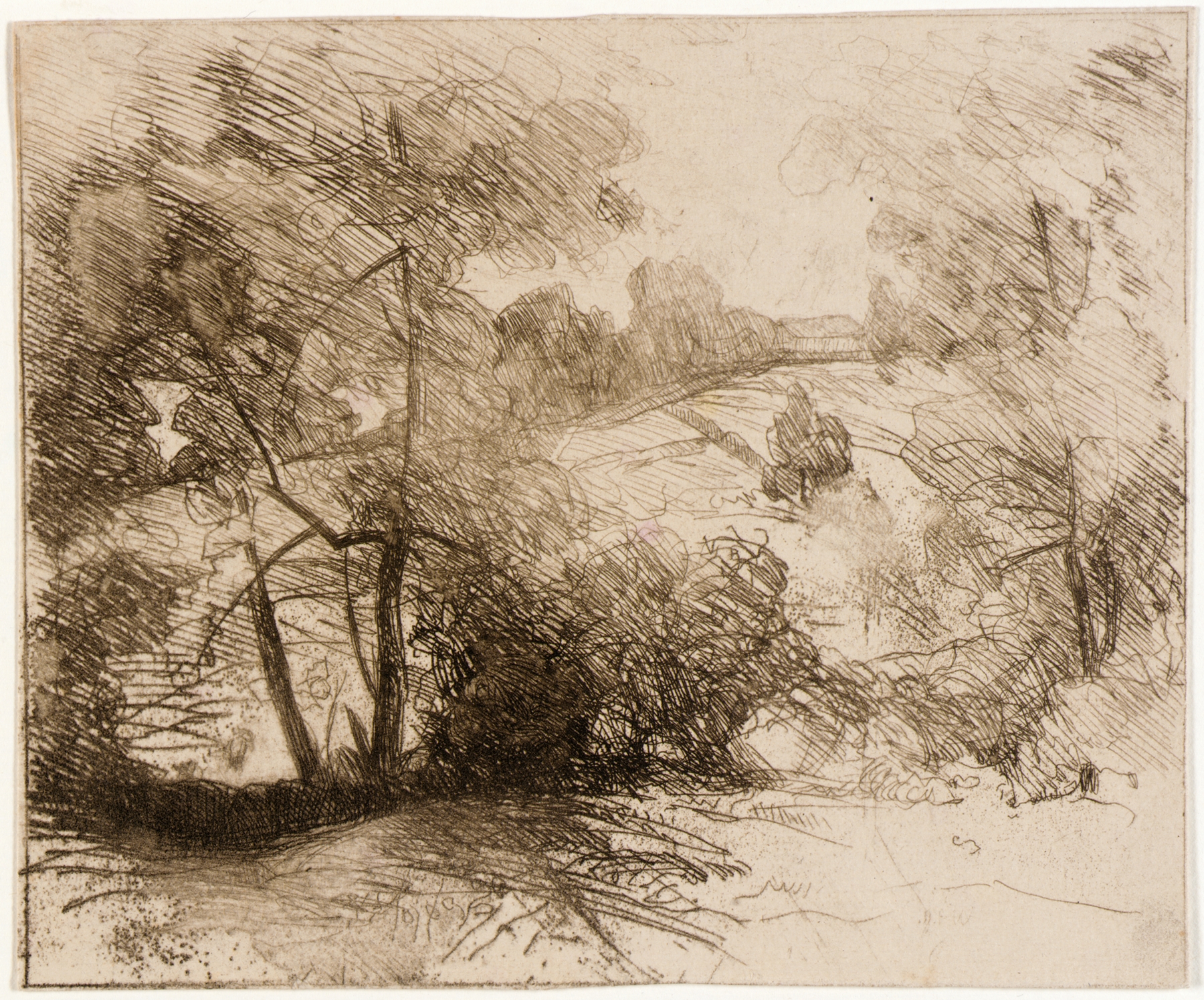 Willows by Julian Alden Weir, oil painting depicting a rural landscape with sunlight filtering through trees.
