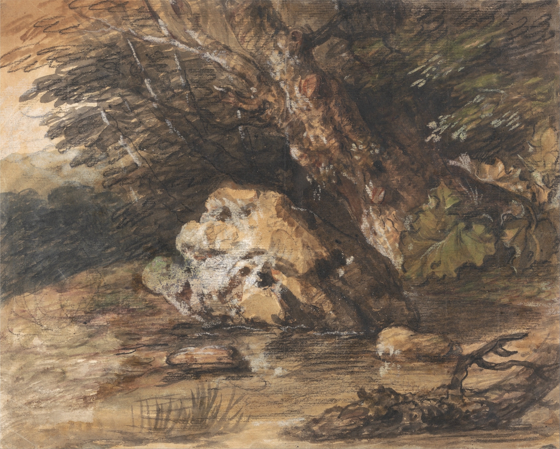 A Woodland Pool with Rocks and Plants, by Thomas Gainsborough, public domain