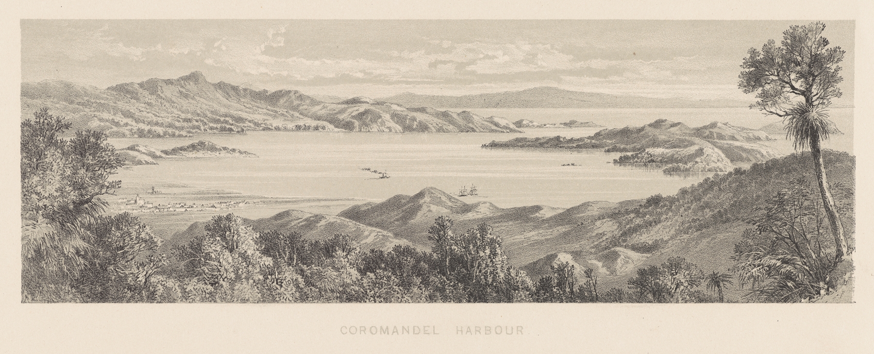Landscape of Coromandel Harbour by Charles Decimus Barraud, 1877, medium unknown