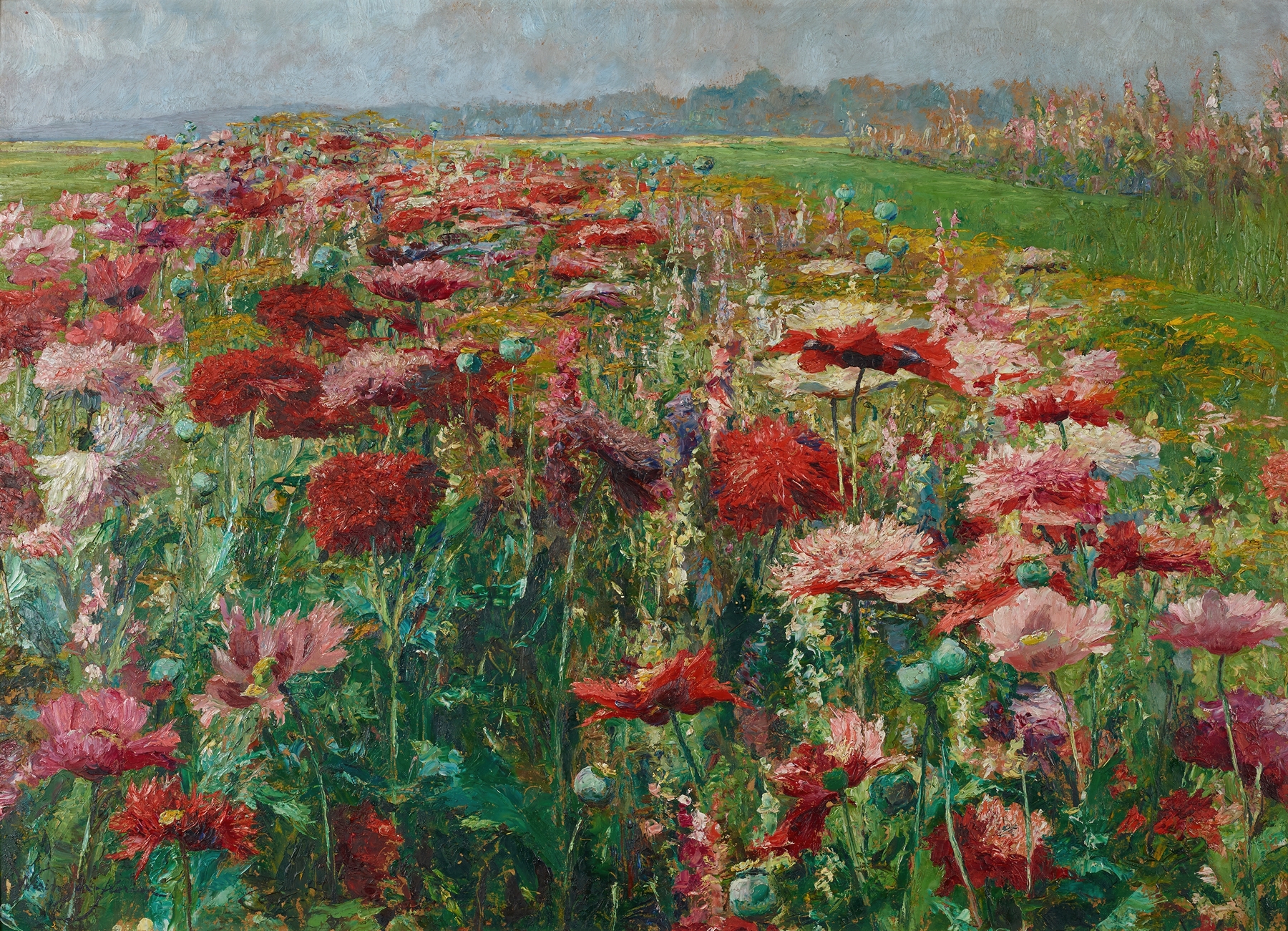 Oil painting of vibrant scarlet poppies by Olga Wisinger-Florian