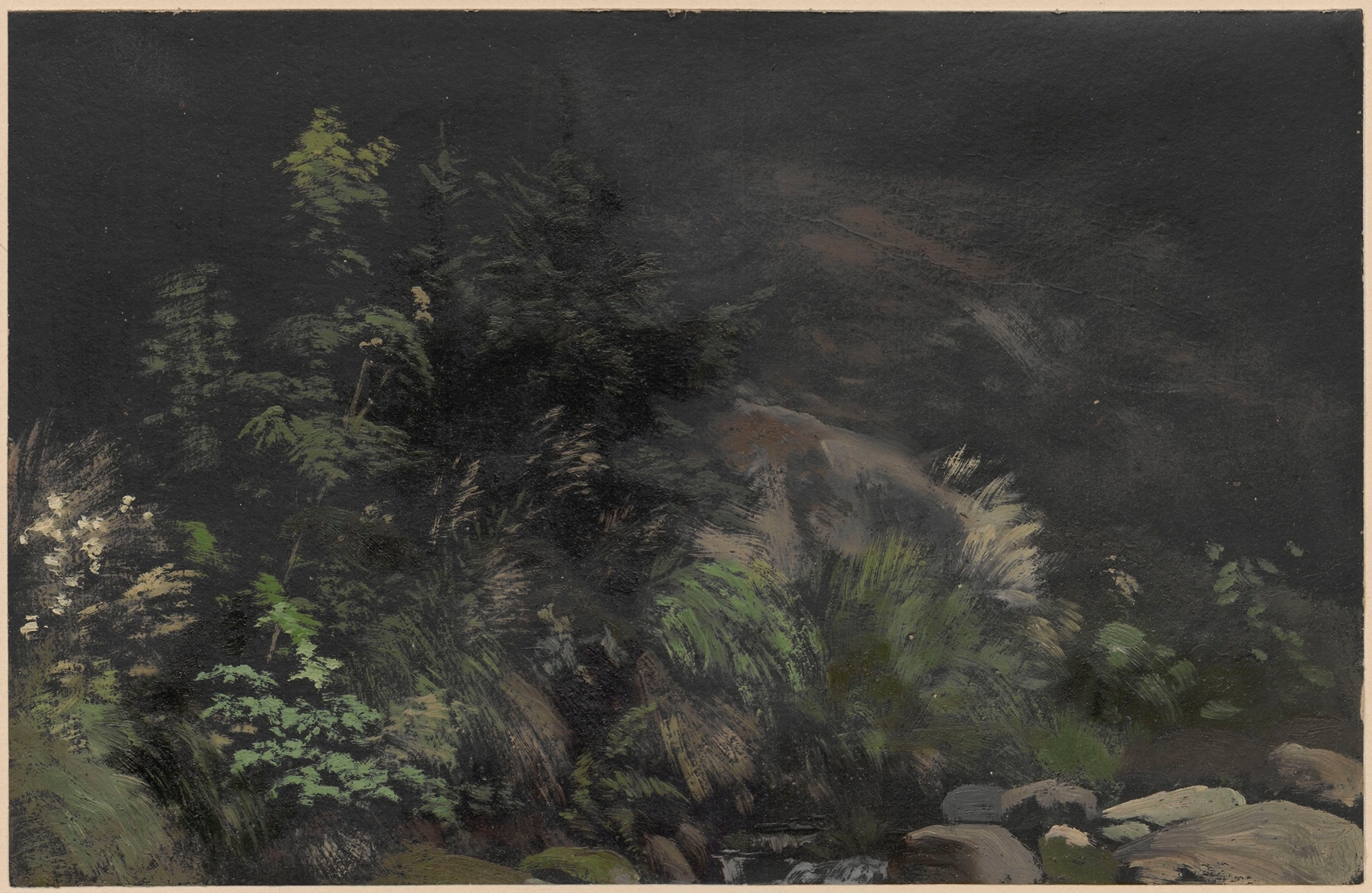 Plants on rocks, by Adolf Dressler, public domain