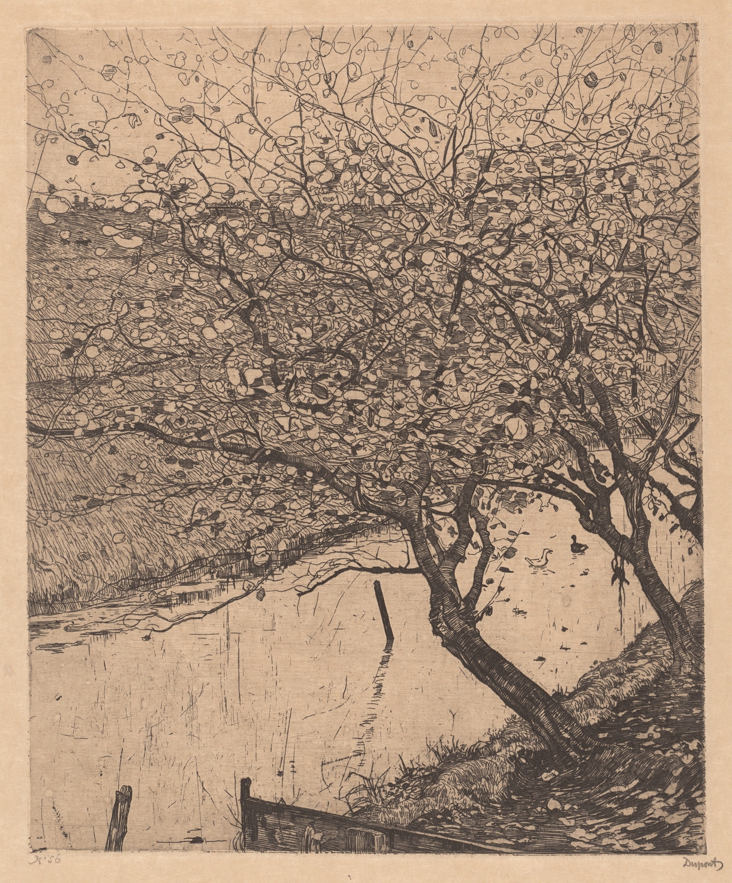 Apple trees along a ditch in oil on canvas by Pieter Dupont
