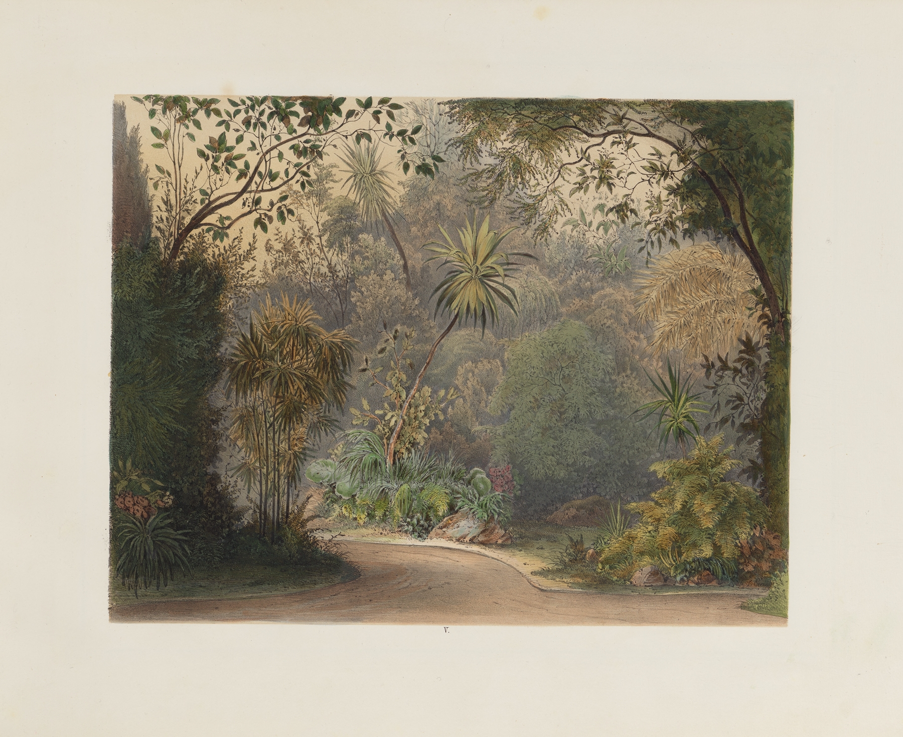 Interior scene with foliage and light, oil painting by Franz Antoine, 1852
