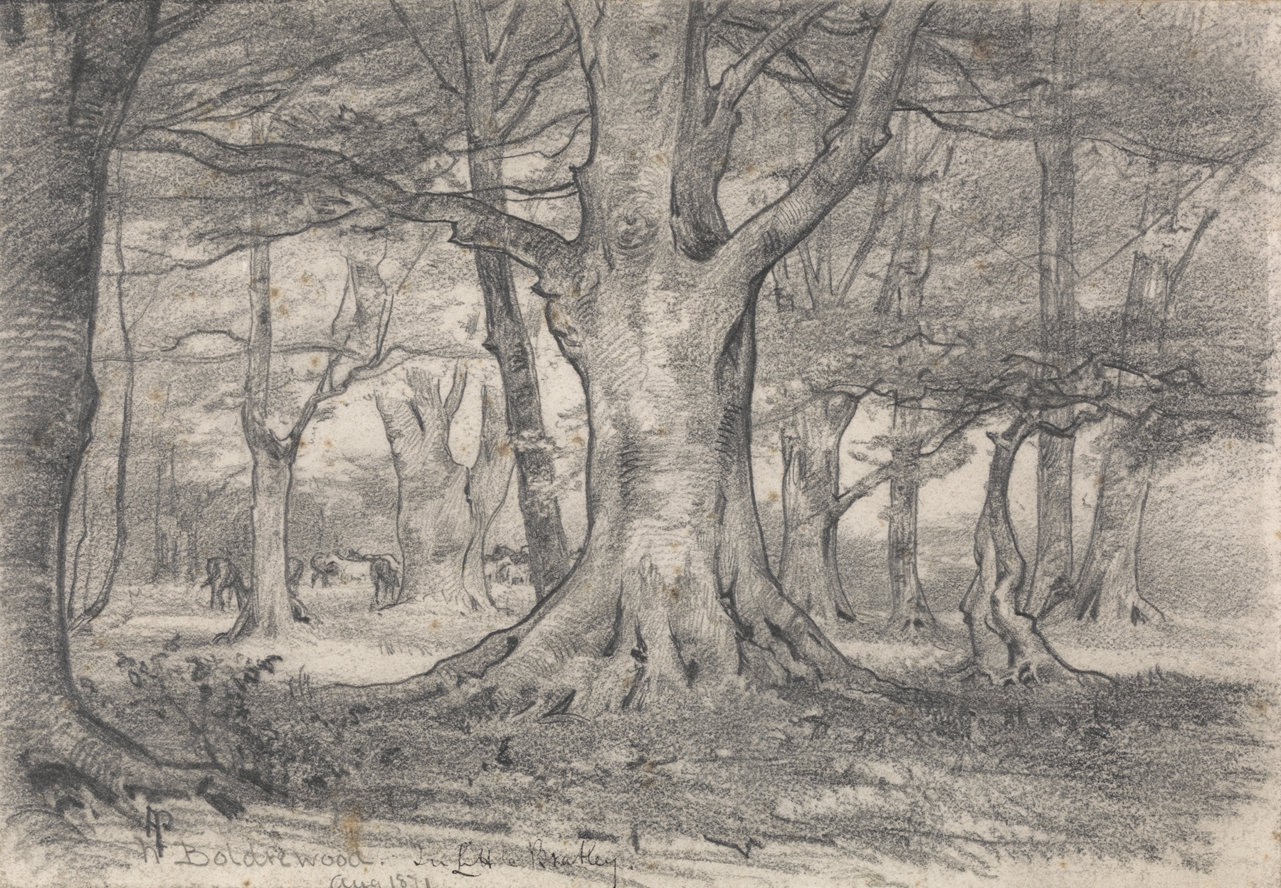 Forest landscape with a stream and dappled sunlight, oil on canvas by Alfred Parsons.