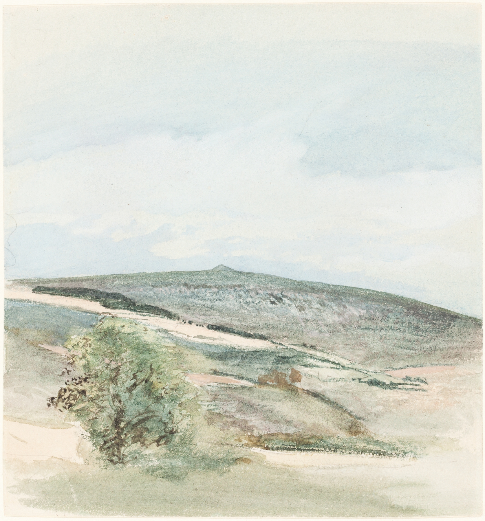 Landscape of heath with wildflowers by William Collins, oil painting