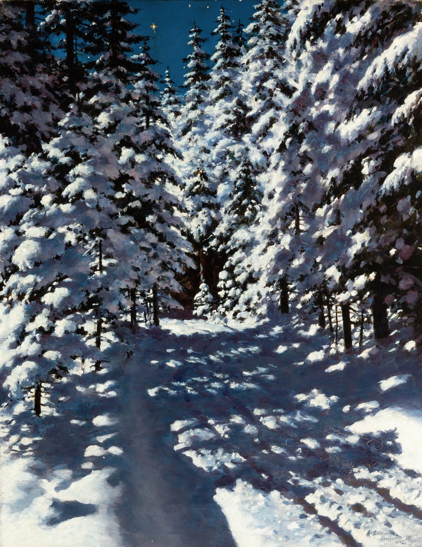 Forest landscape by Stanisław Witkiewicz, oil painting depicting trees and interplay of light and shadow.