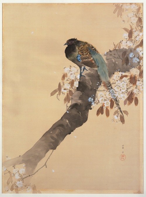 A beautiful depiction of a pheasant resting on a cherry blossom branch.