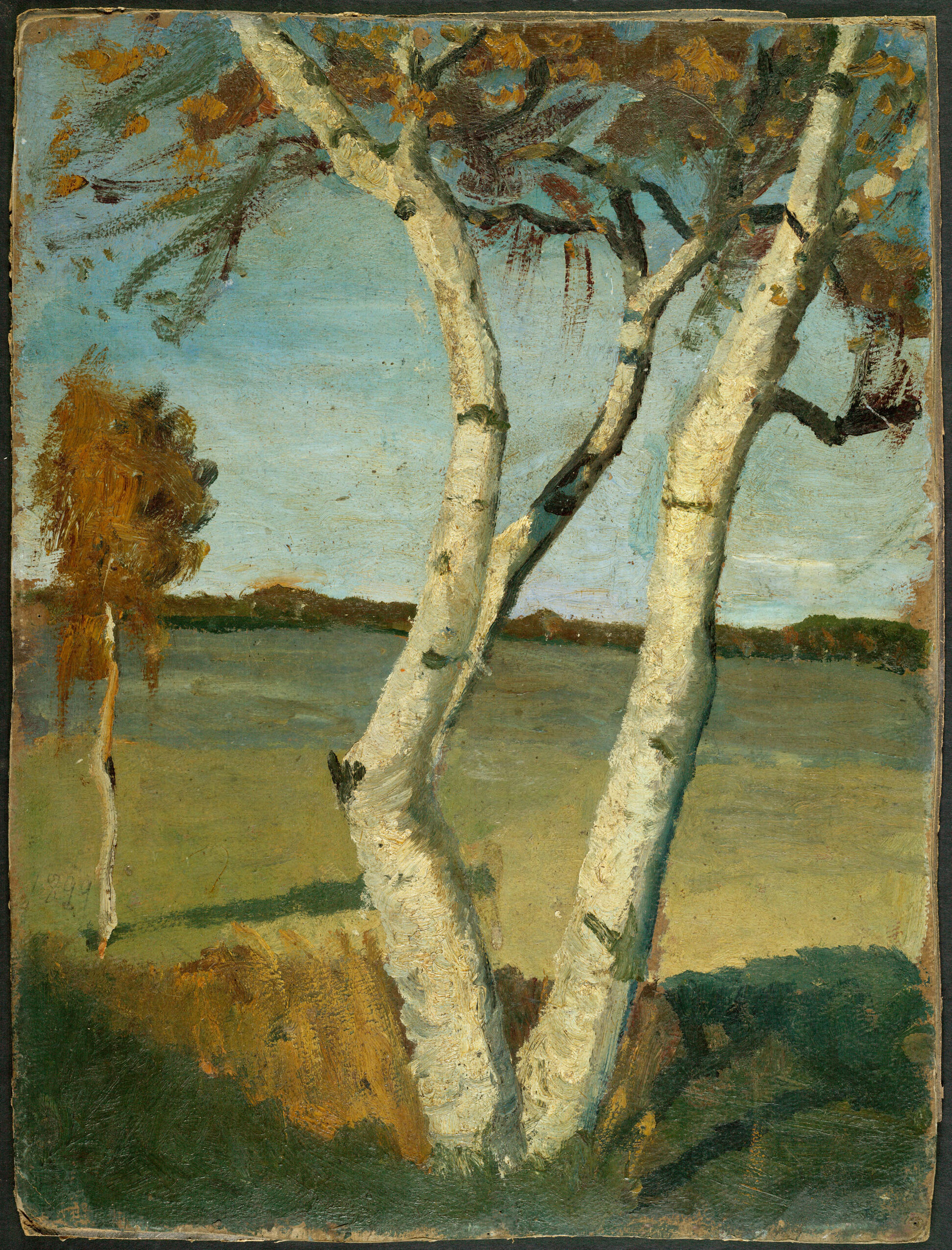 Birch Tree in a Landscape, by Paula Modersohn-Becker, public domain
