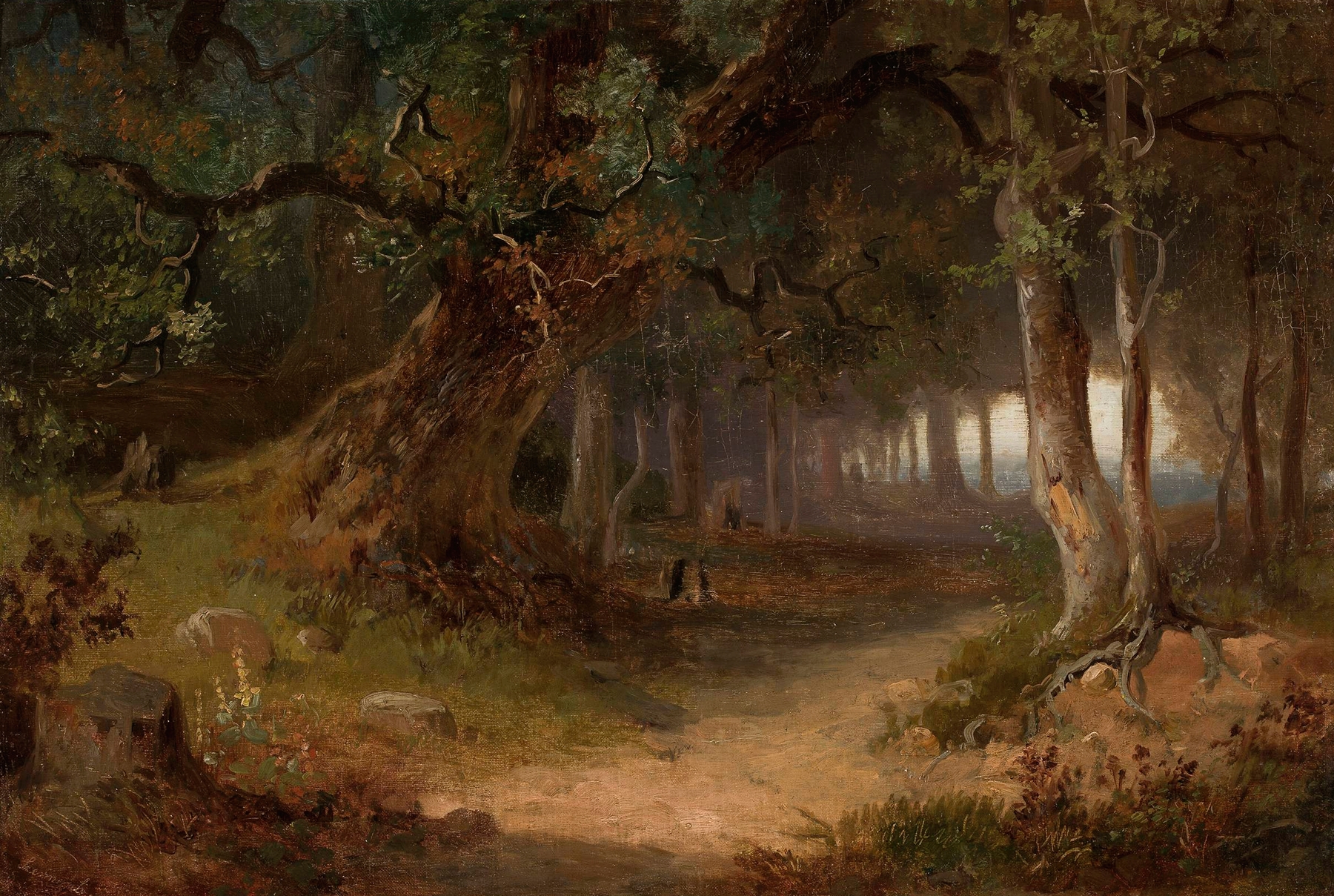 Forest edge by Józef Szermentowski, oil on canvas depicting a tranquil landscape.