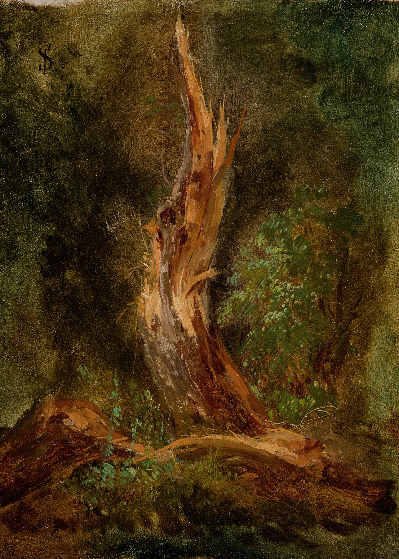 Volhynian Forest by Józef Szermentowski, oil on canvas depicting a tranquil forest scene.