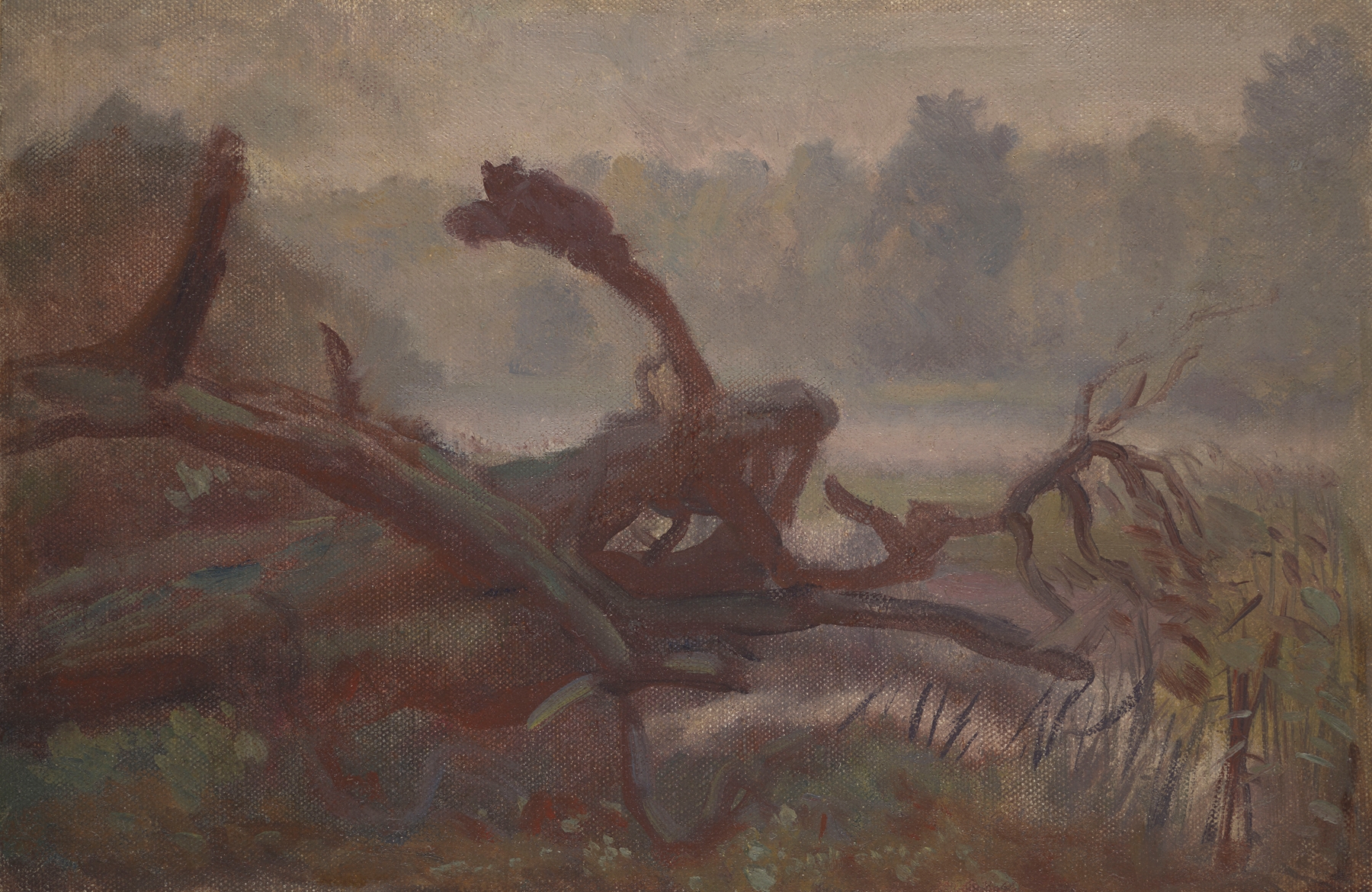 Wilderness; Forest Windfalls, oil on canvas by Jozef Chelmonski depicting a forest with fallen branches