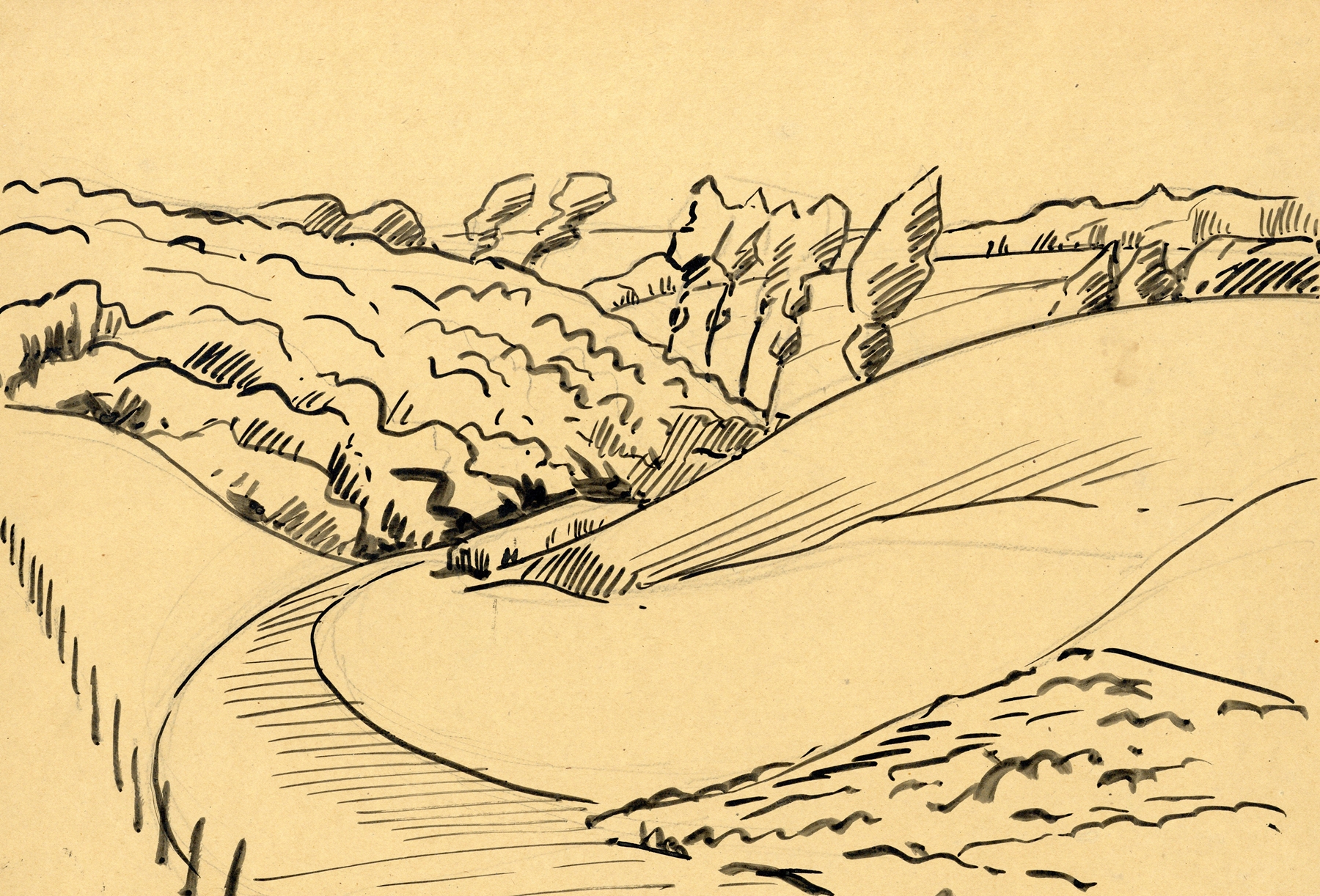 Landscape in ink by Albert Daenens, ink on paper depicting nature's whispers.