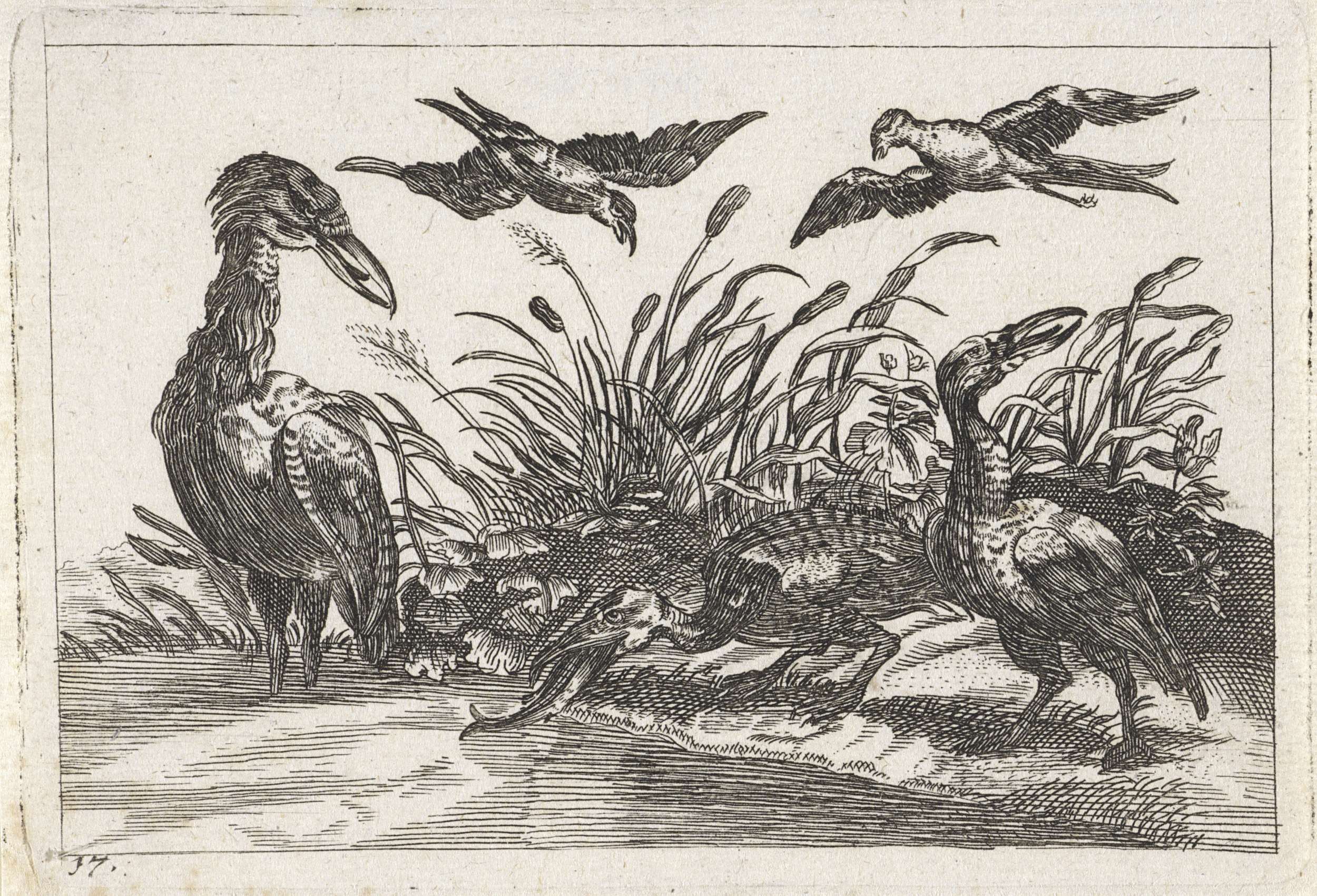 Etching by Unknown Artist depicting herons among green foliage