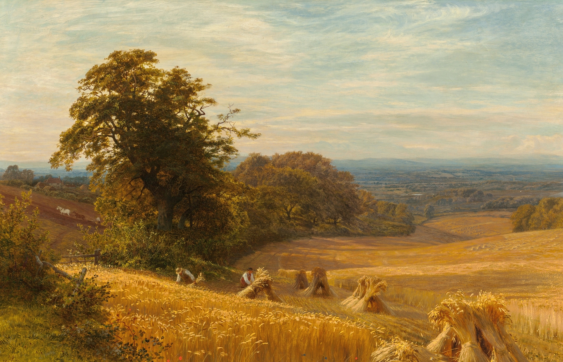 Cornfield at Abingdon, oil on canvas by George Vicat Cole