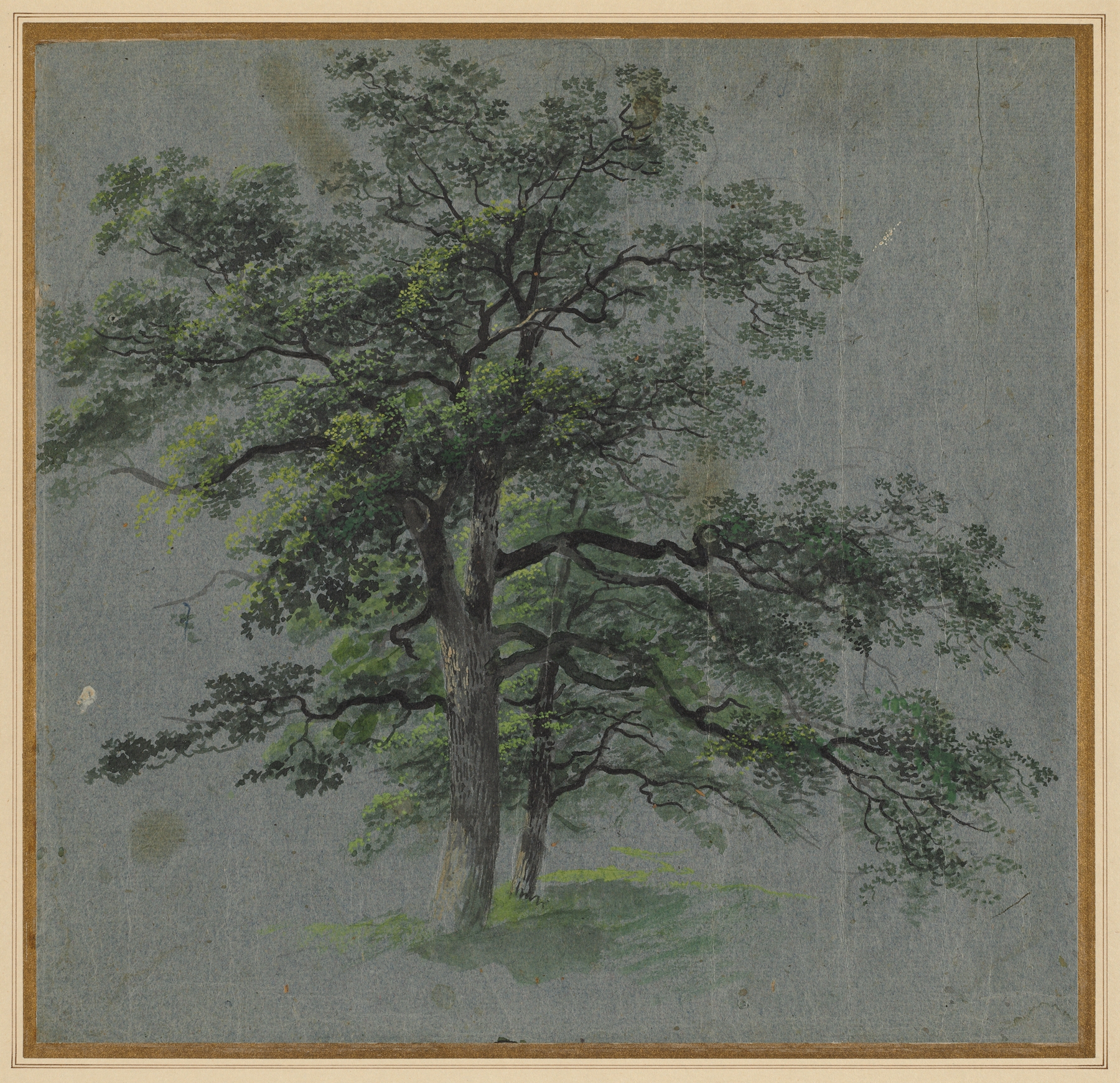 Two Trees by Johann Jacob Dorner, oil painting depicting gnarled trees in a serene landscape.