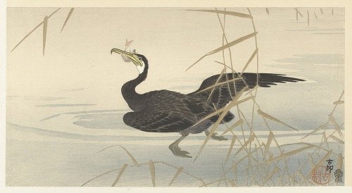A cormorant catches a fish in this beautiful Japanese print.