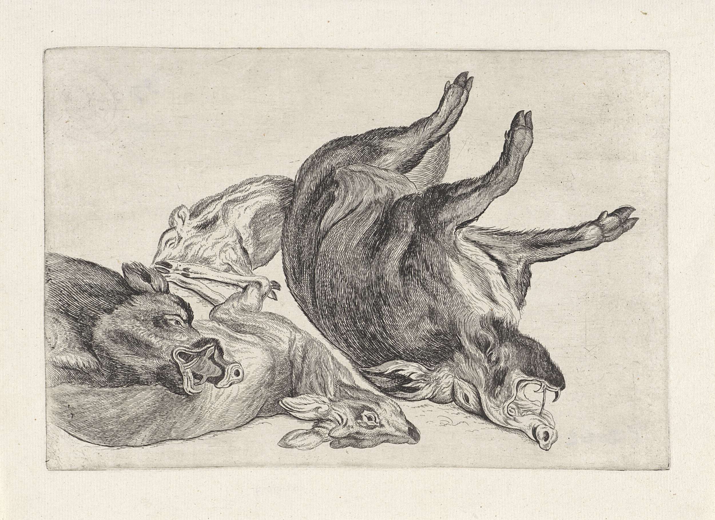 Etching by Wenceslaus Hollar showing a dead stag and wild boars