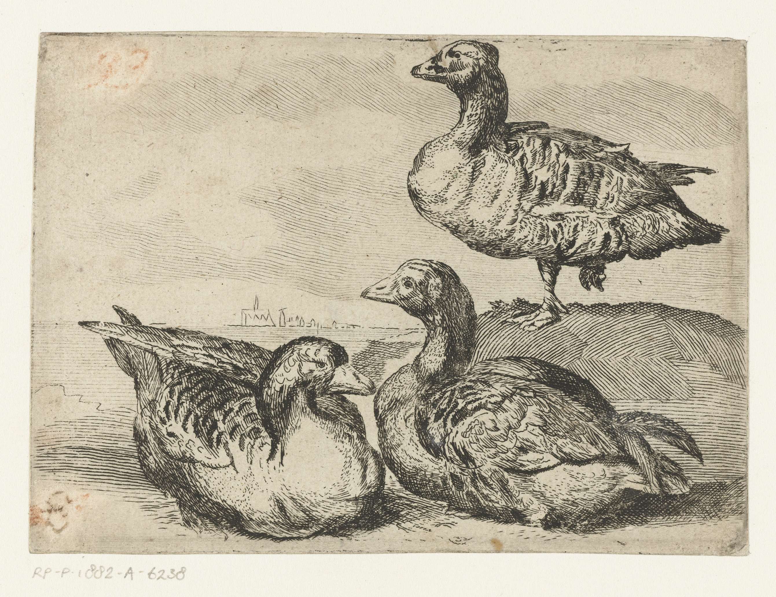 Three geese stand in a muted landscape, etching by Unknown Artist