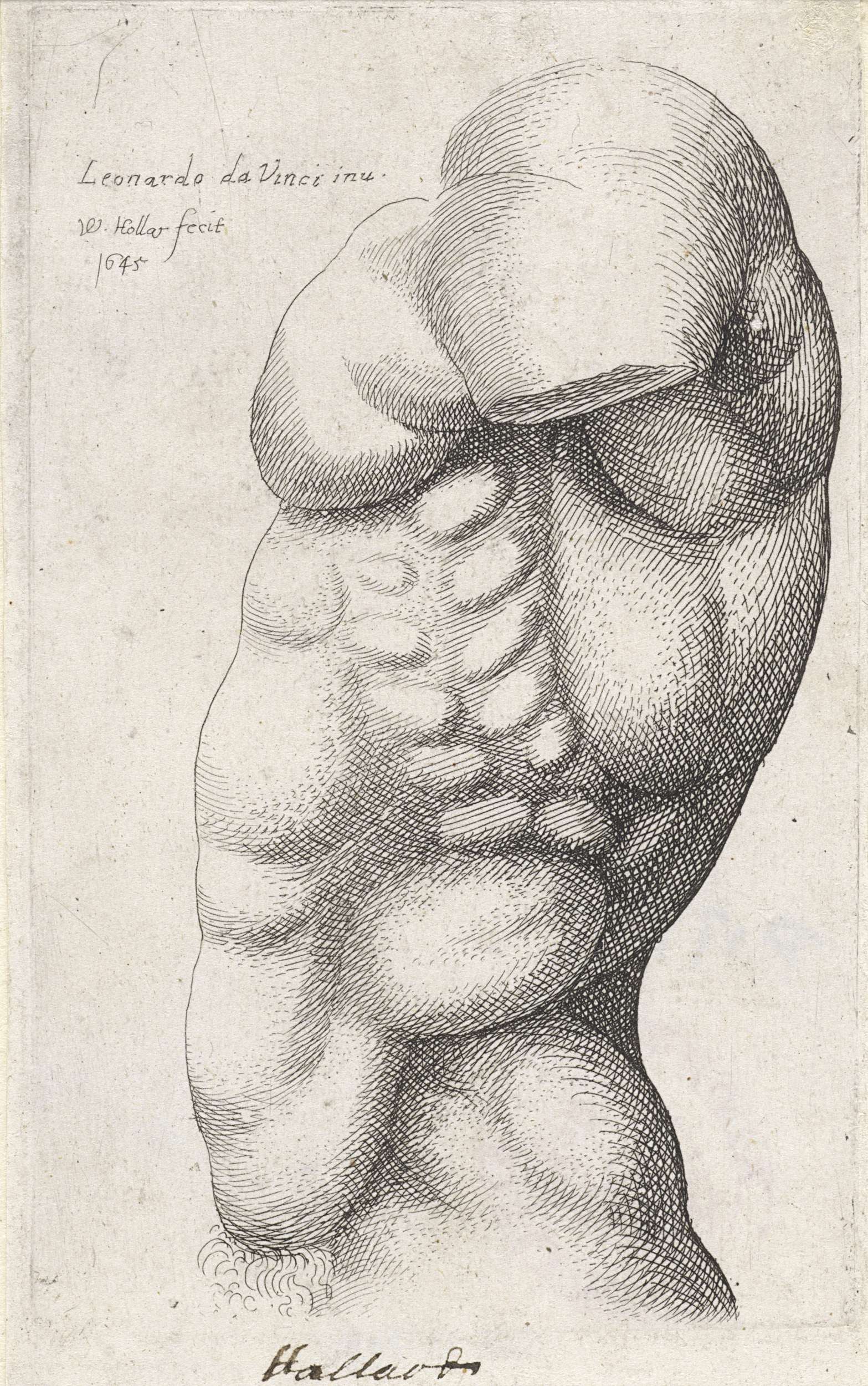 Anatomical study of a male torso in etching by Wenceslaus Hollar