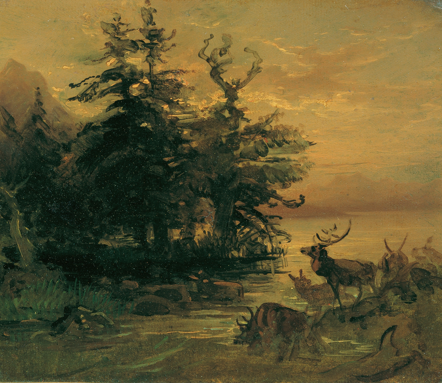 Suhlende Hirsche am Ufer eines Bergsees, by Friedrich August Matthias Gauermann, public domain