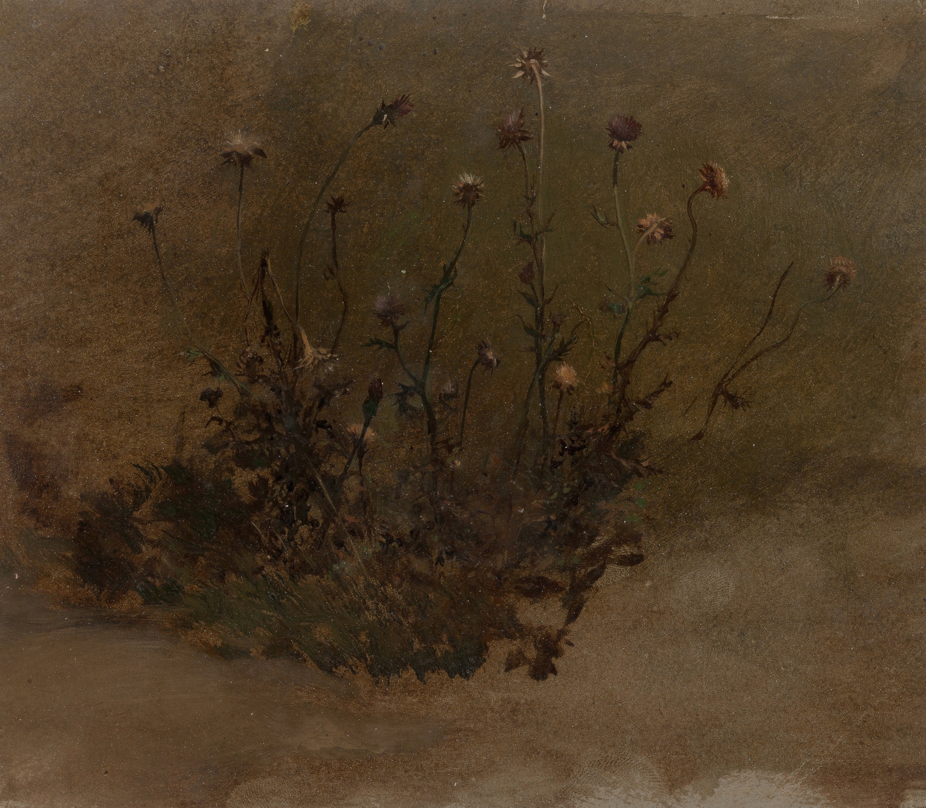 Wild Flowers, by Elihu Vedder, public domain