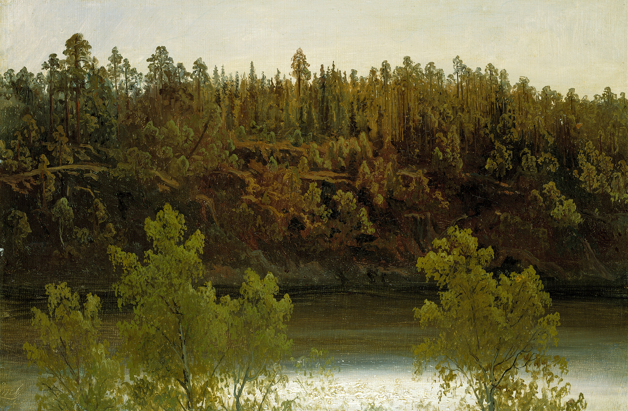 Swedish Lake. Study by Marcus Larson, oil painting depicting a tranquil lake with reflections.