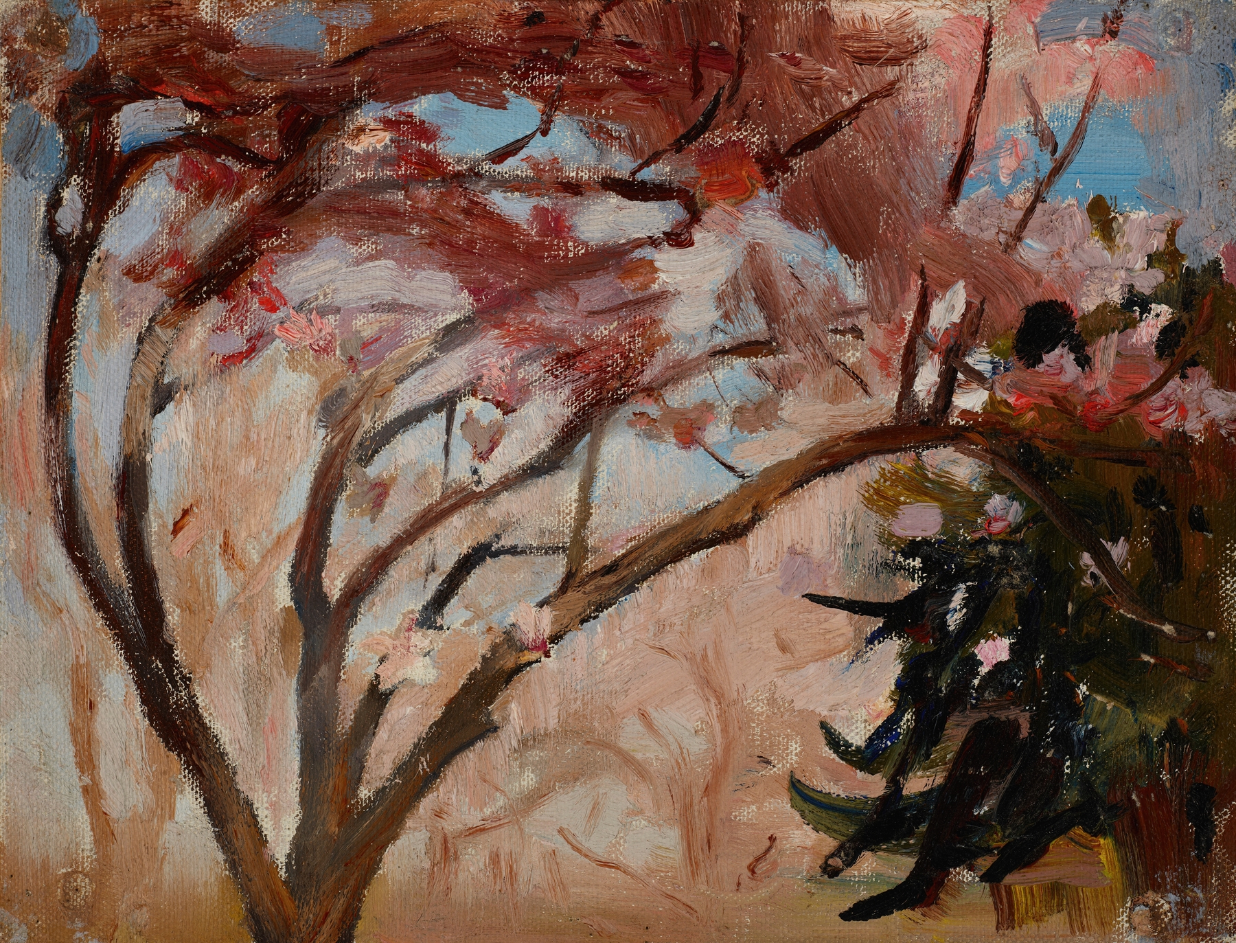 Crimea (Magnolia), by Jan Ciągliński, public domain