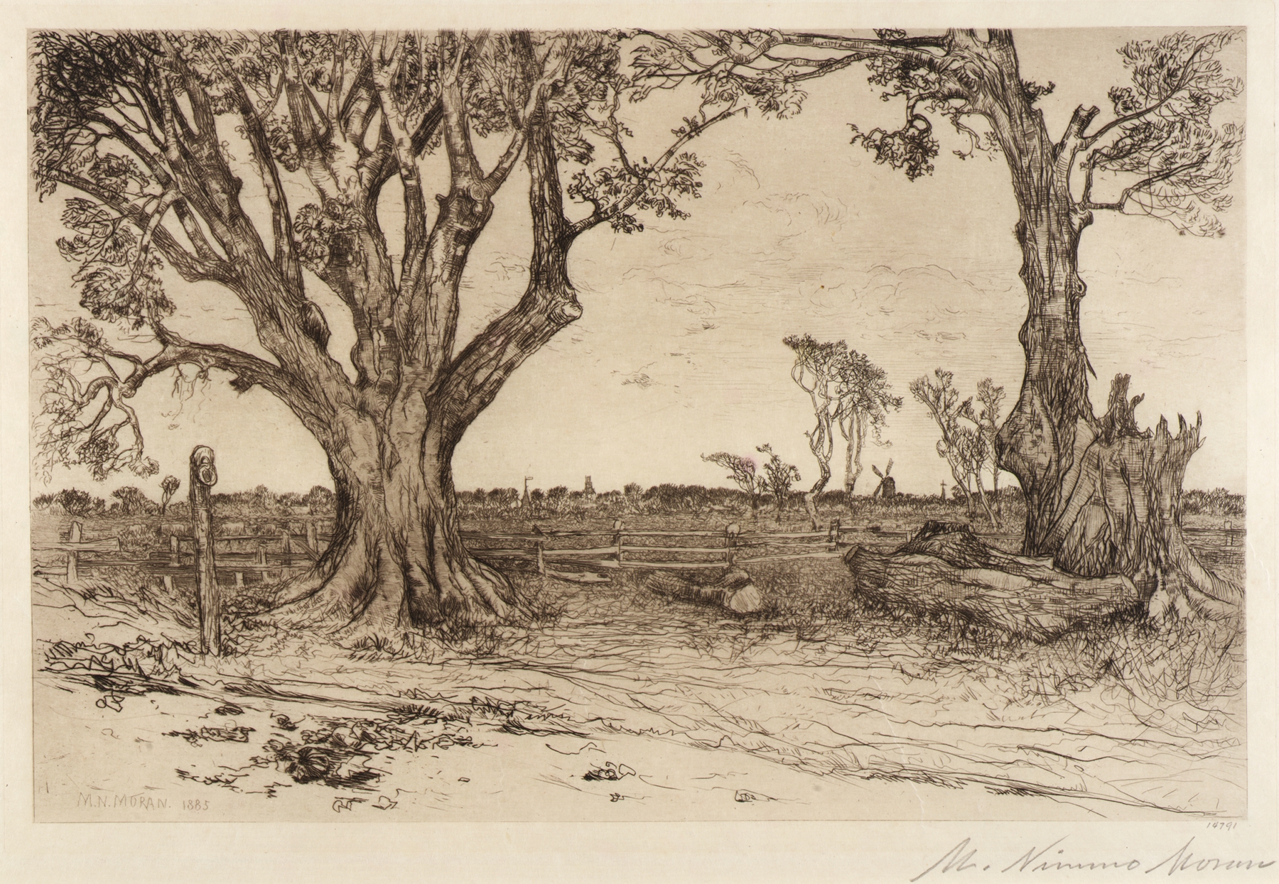 Old Lindens–Near Easthampton by Mary Nimmo Moran, impressionist oil painting depicting light through trees.