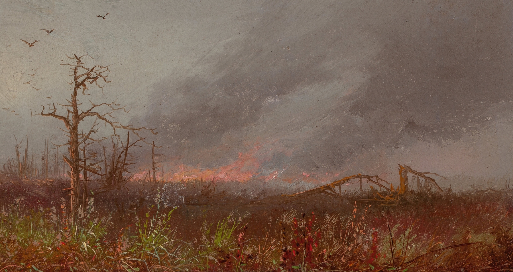 Forest Fire, oil painting by American School, depicting flames and charred earth.
