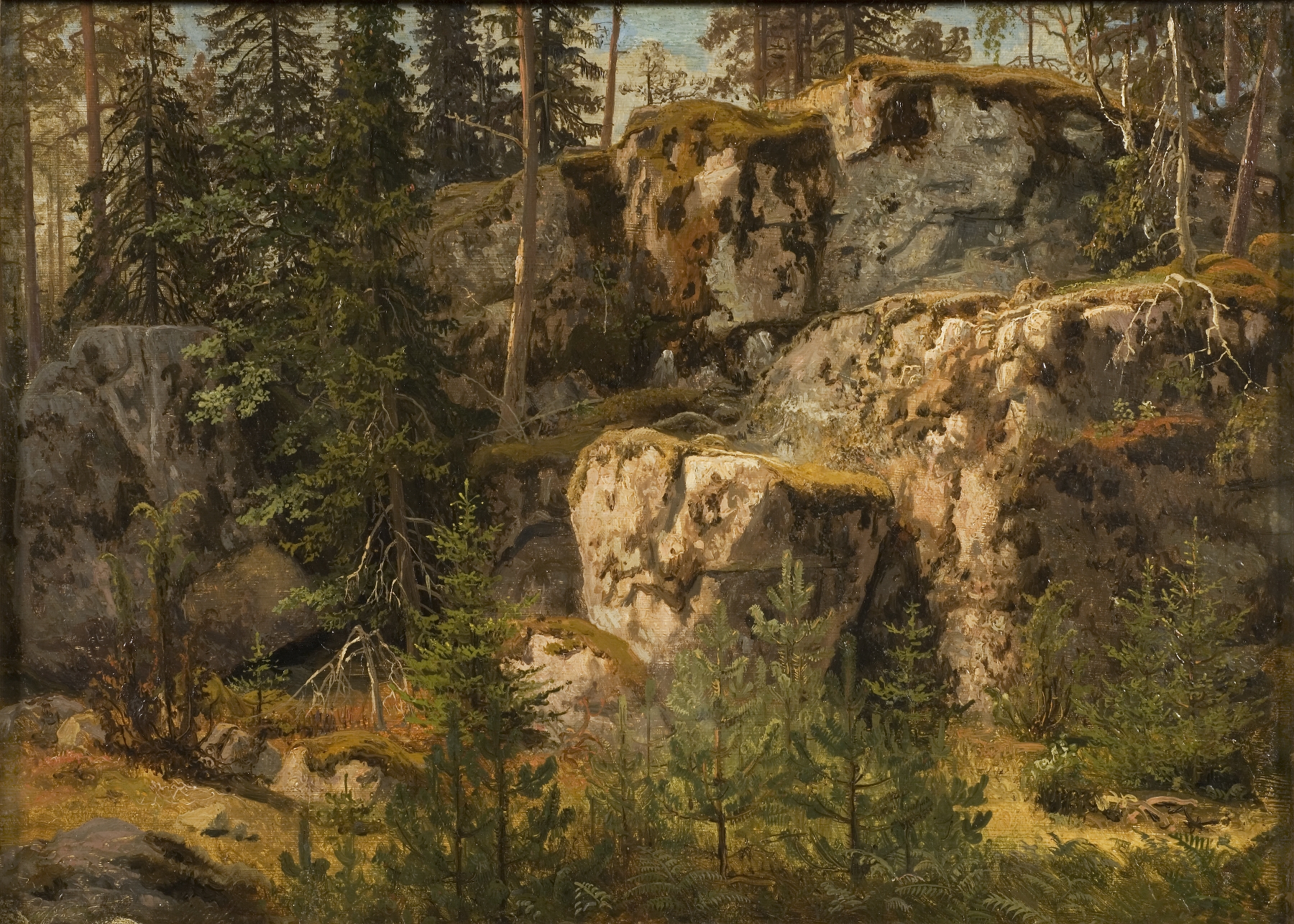 Stony Forest by Marcus Larson, oil painting depicting towering trees and dappled sunlight.