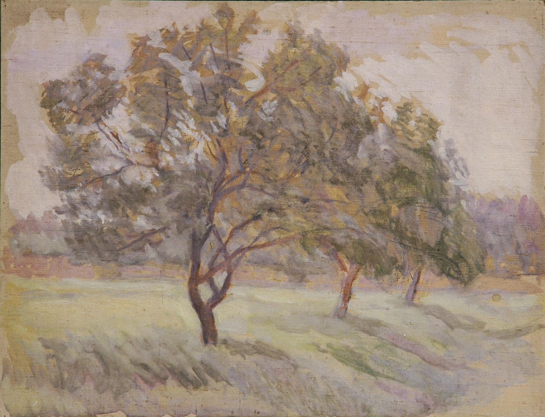 Fruit trees in bloom, oil on canvas by Walther Gamerith