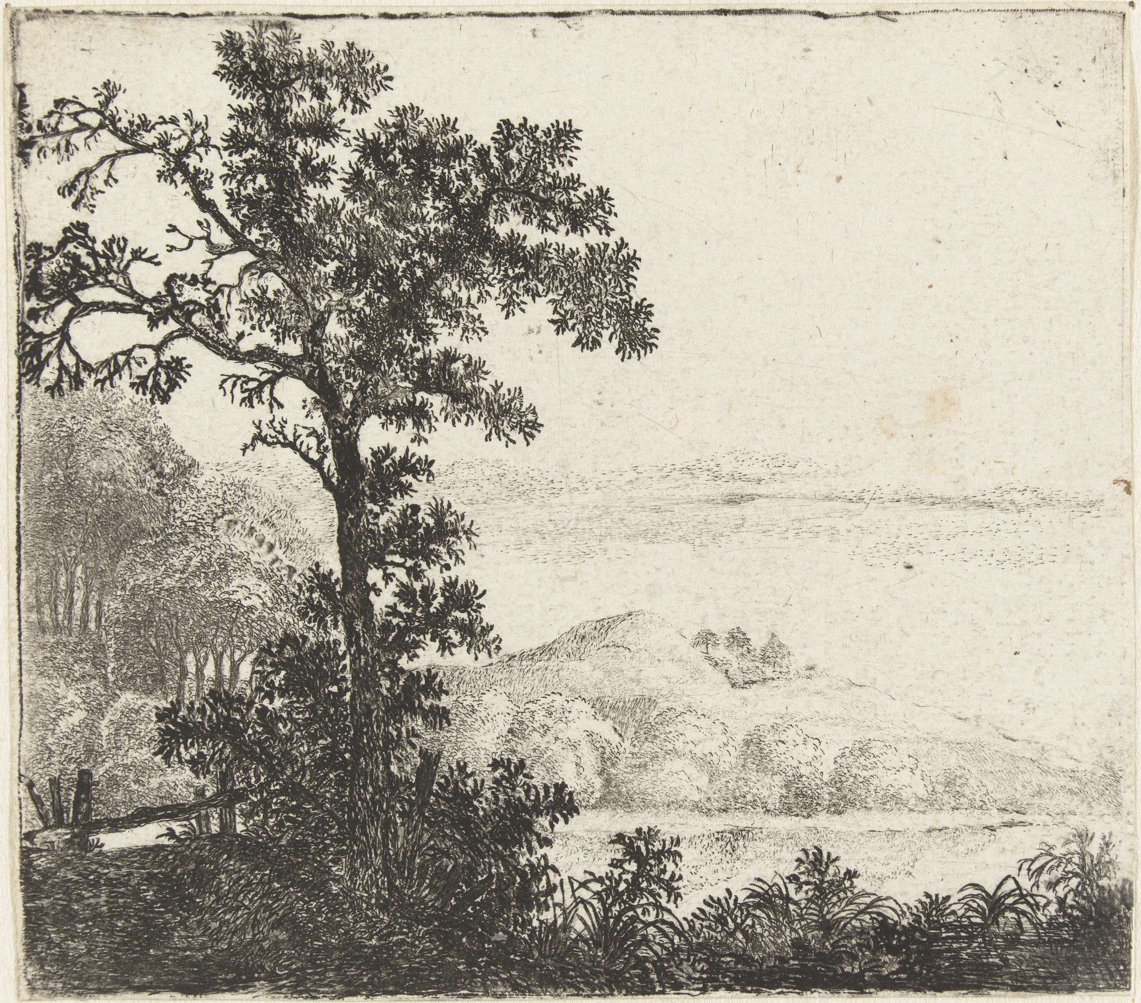 Landschap met boom bij een rivieroever etching by Jan van Brosterhuyzen