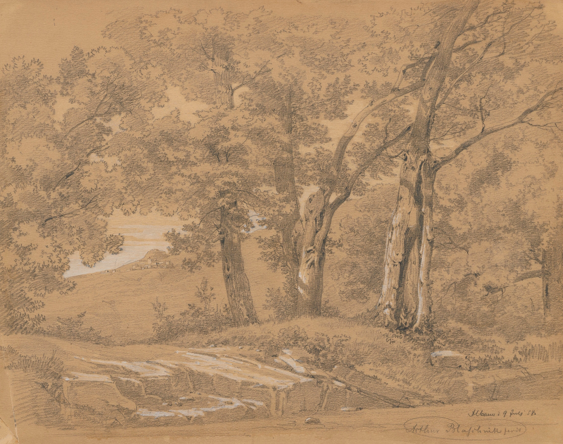Inside a forest near Albano, by Arthur Blaschnik, public domain