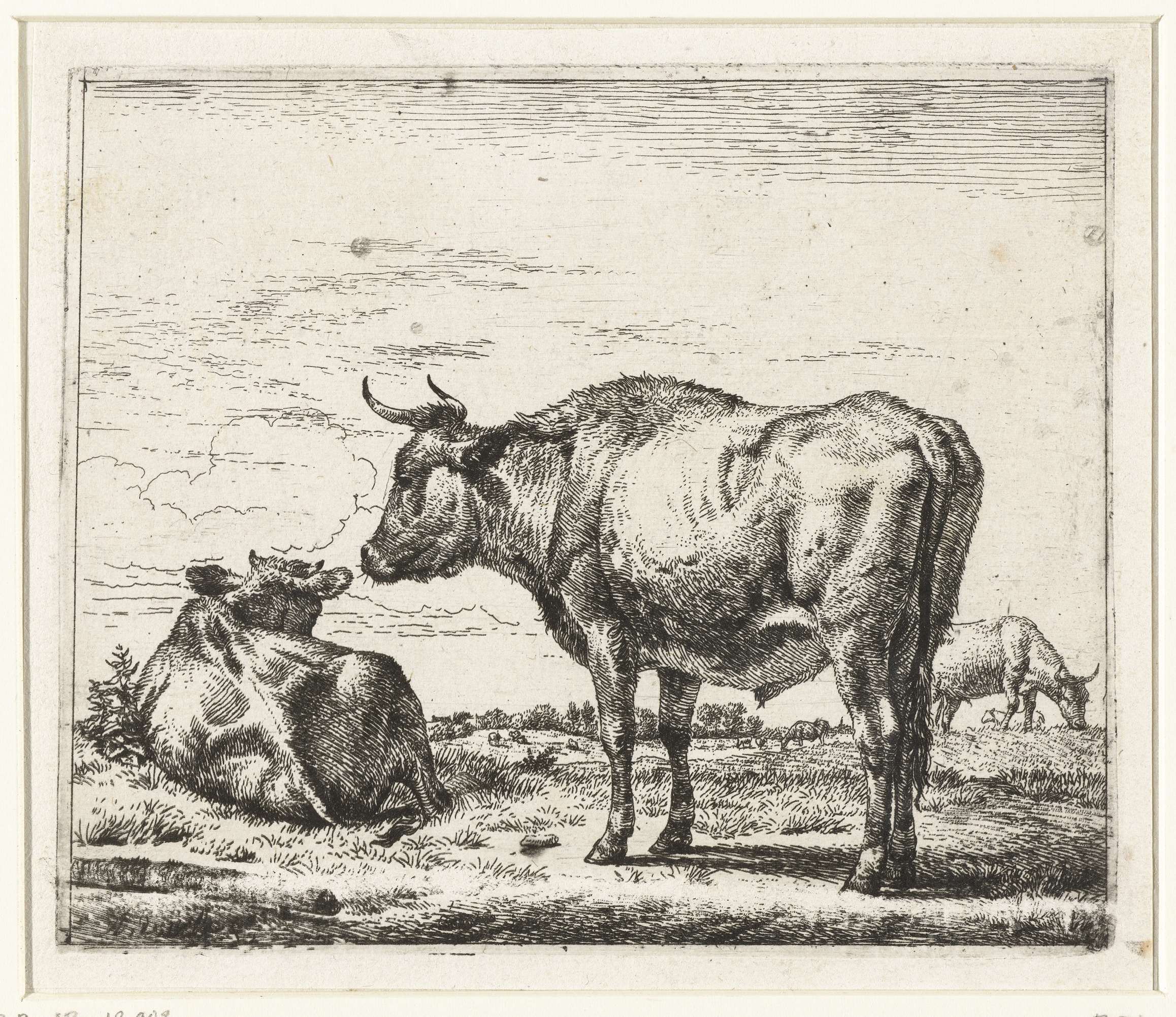 Staande stier, by Adriaen van de Velde, public domain