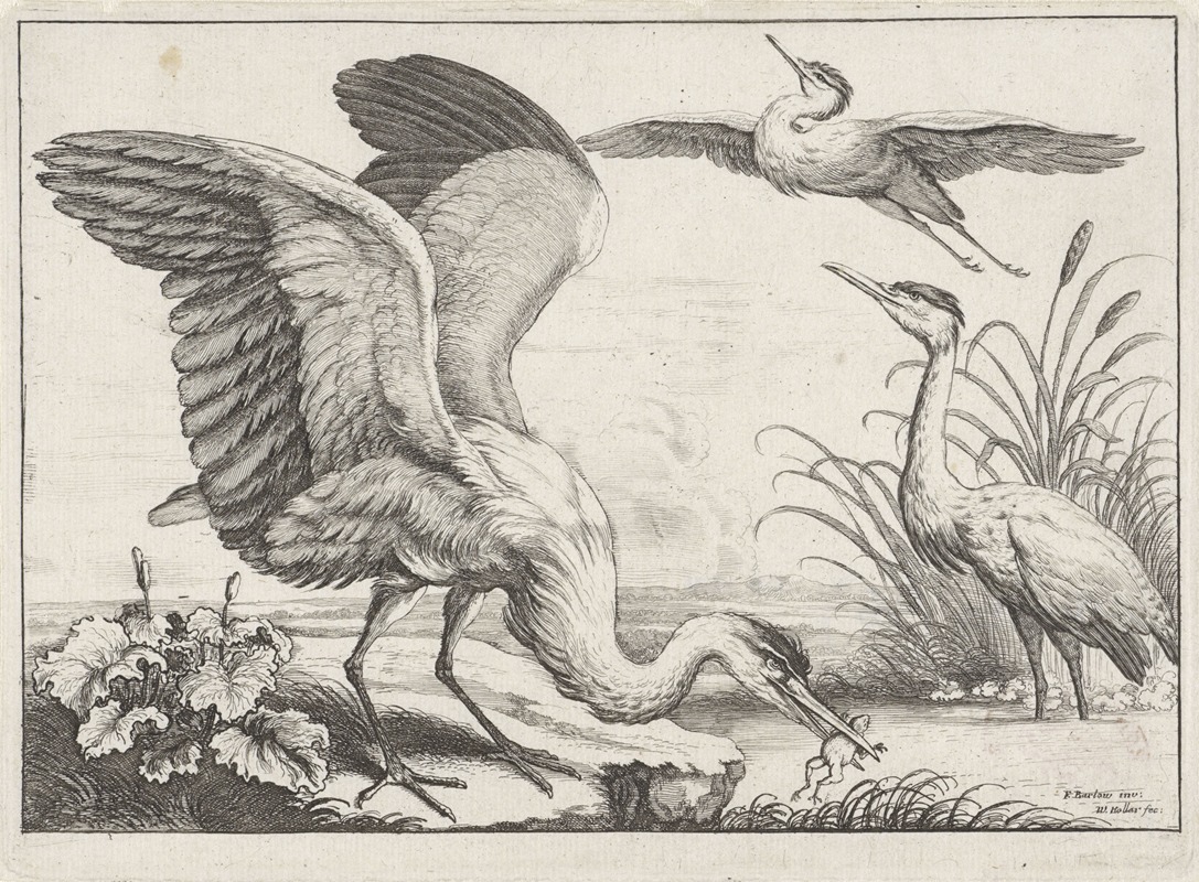 A dynamic scene of three herons interacting by a river, showcasing nature's beauty.