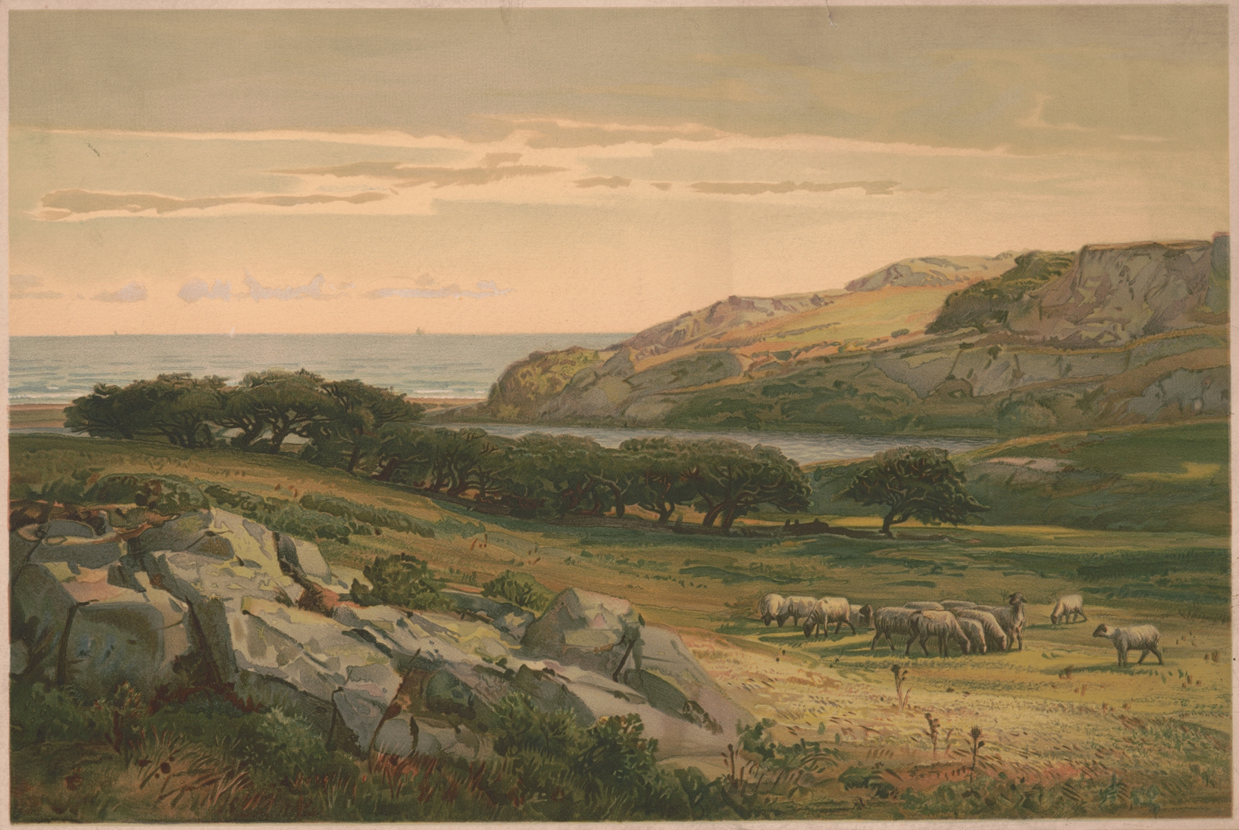 Almy’s Pond, Newport by Louis Prang & Co., chromolithograph depicting a tranquil pond landscape