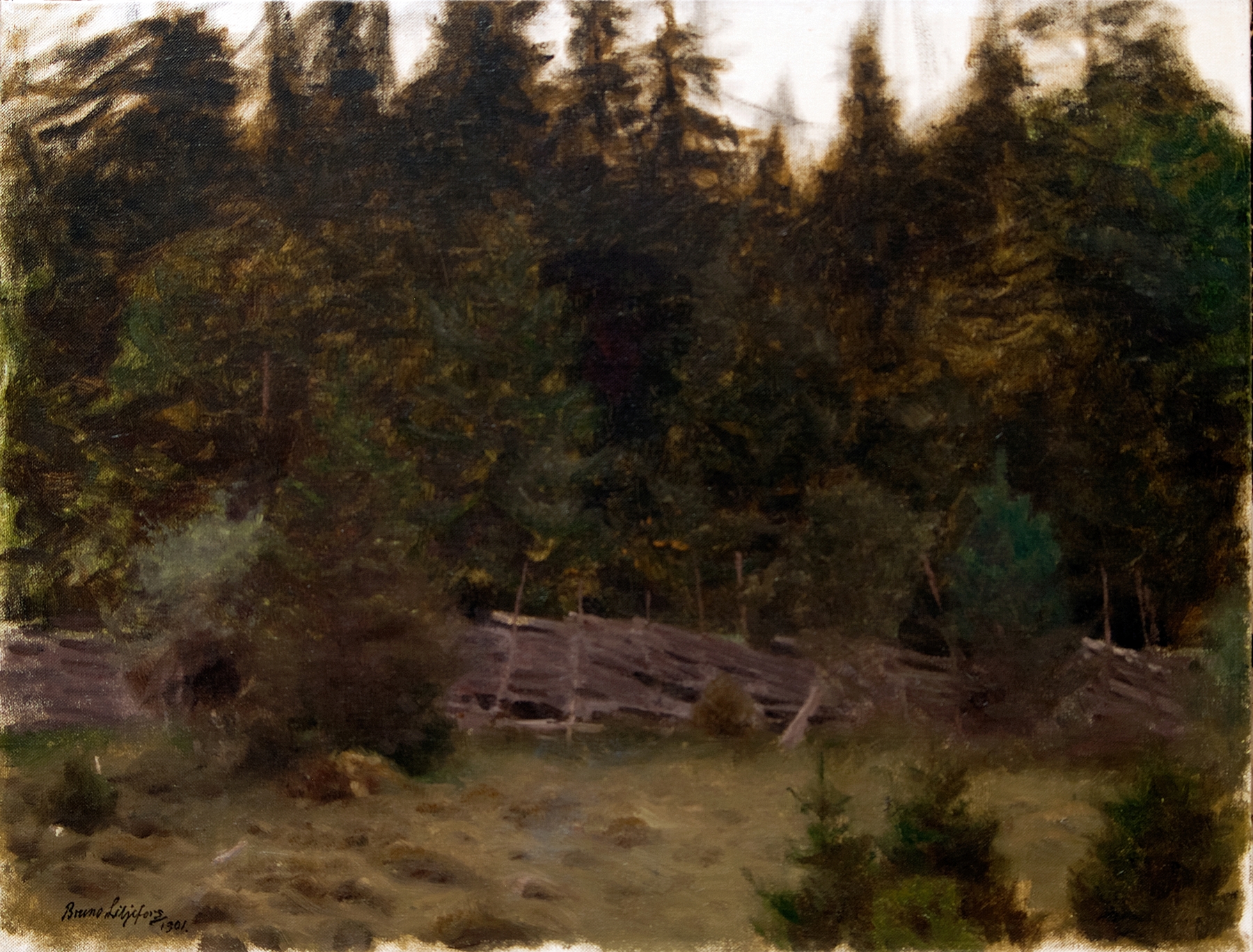 Landscape Study, by Bruno Liljefors, public domain