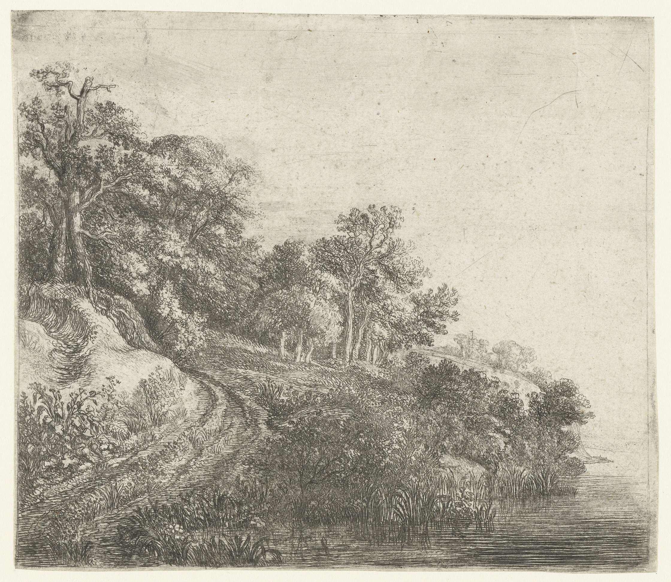 Heuvel met bebossing, by Simon de Vlieger, public domain
