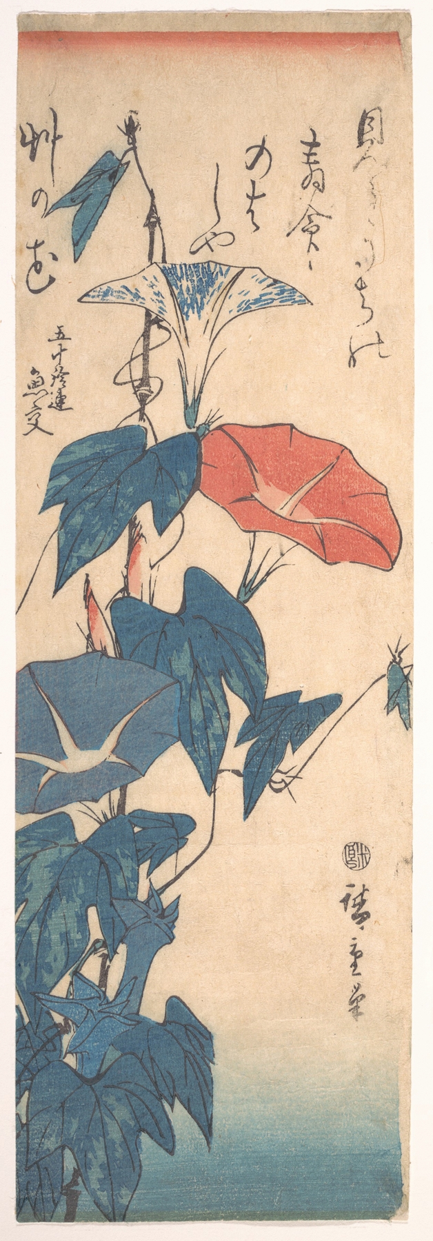 Morning Glories by Utagawa Hiroshige, ink on paper, featuring delicate blue and white flowers.