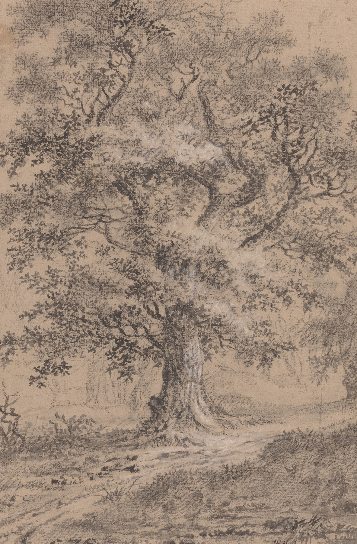 A Leafy Oak by Johann Caspar Huber, oil on canvas, depicting a majestic oak tree by a woodland path.