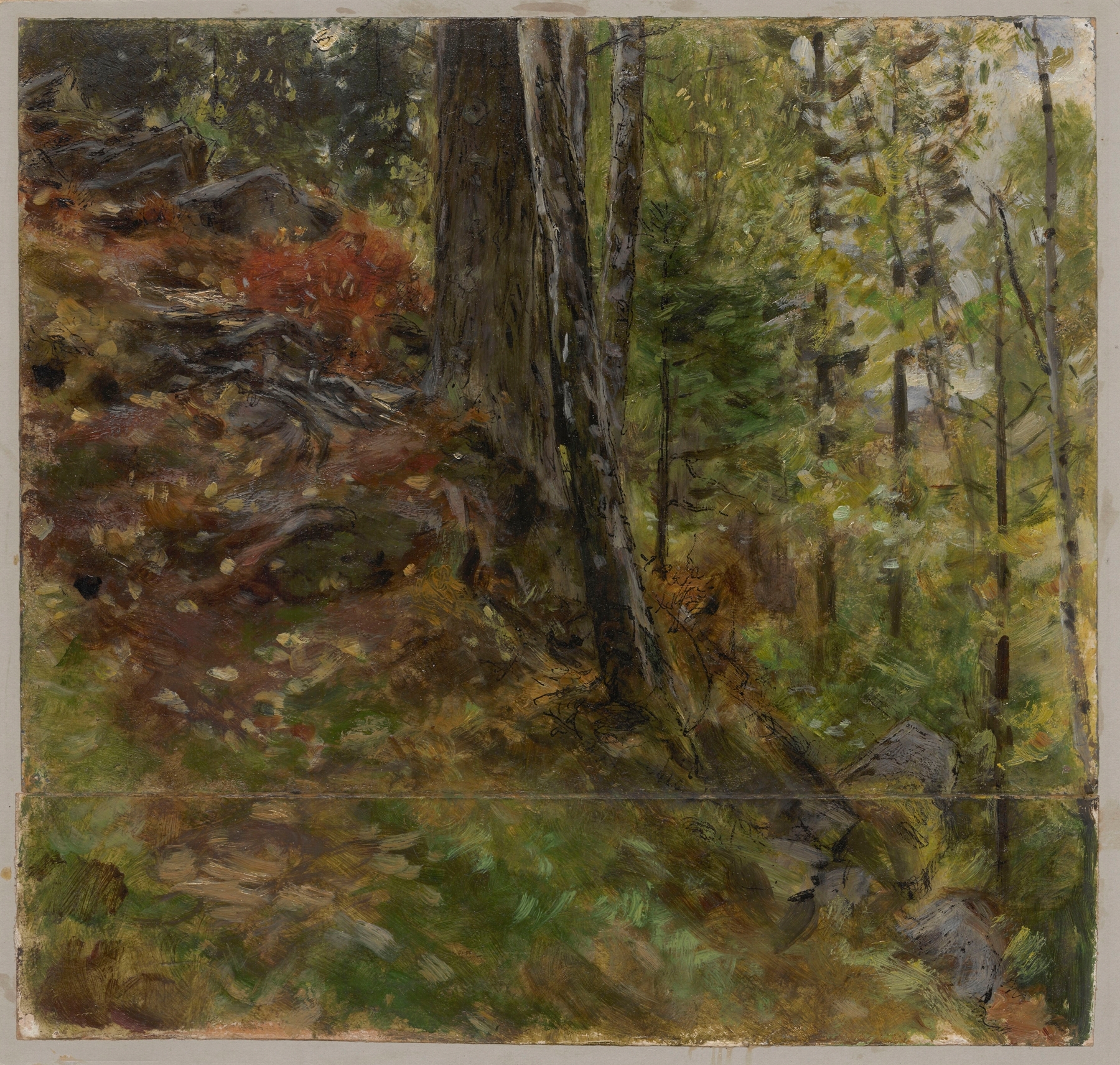 Inside a forest, oil on canvas by Johannes Graf, showcasing trees and soft light filtering through the canopy.