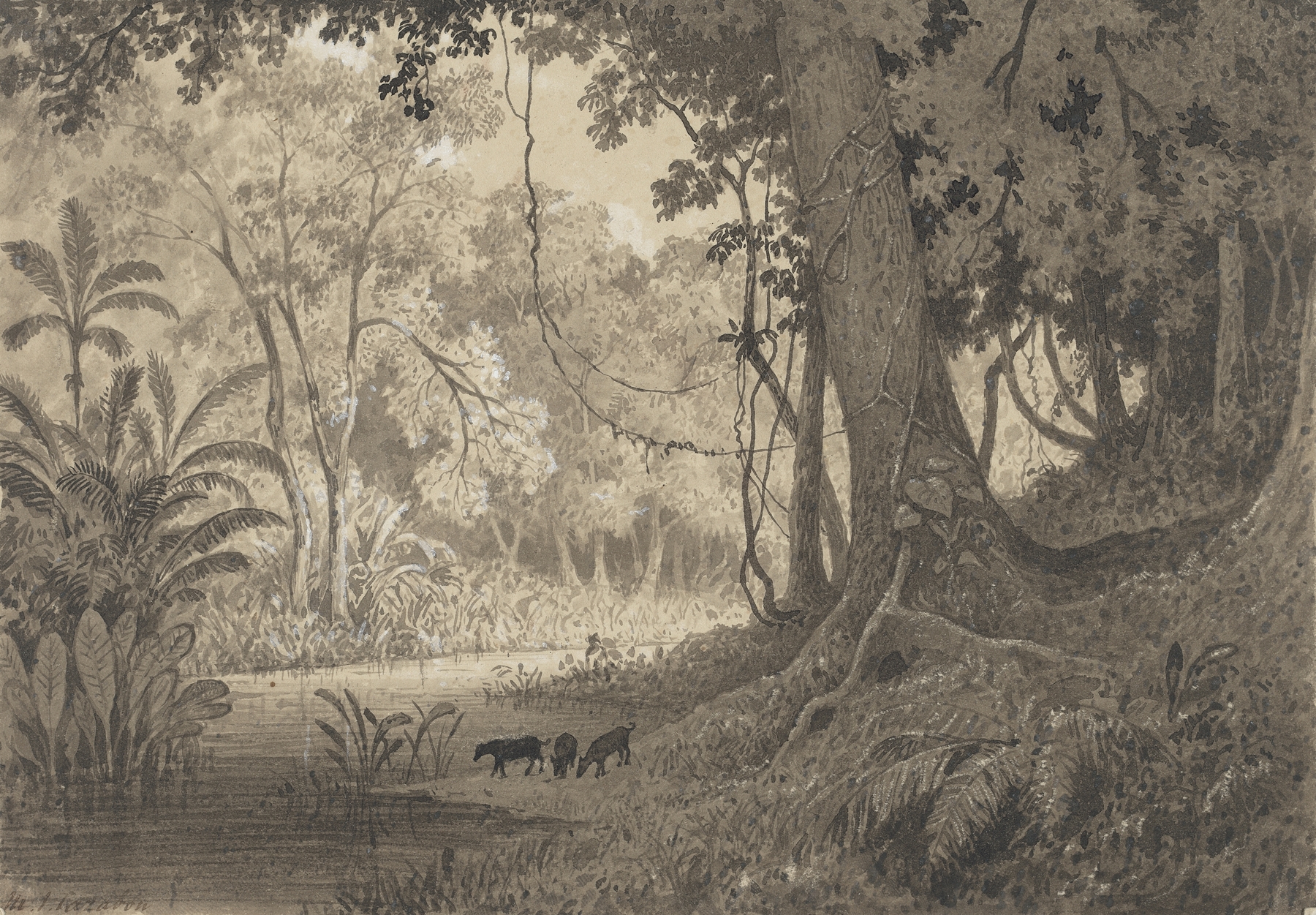 Forest scenery with green foliage and dappled light by Michel Jean Cazabon