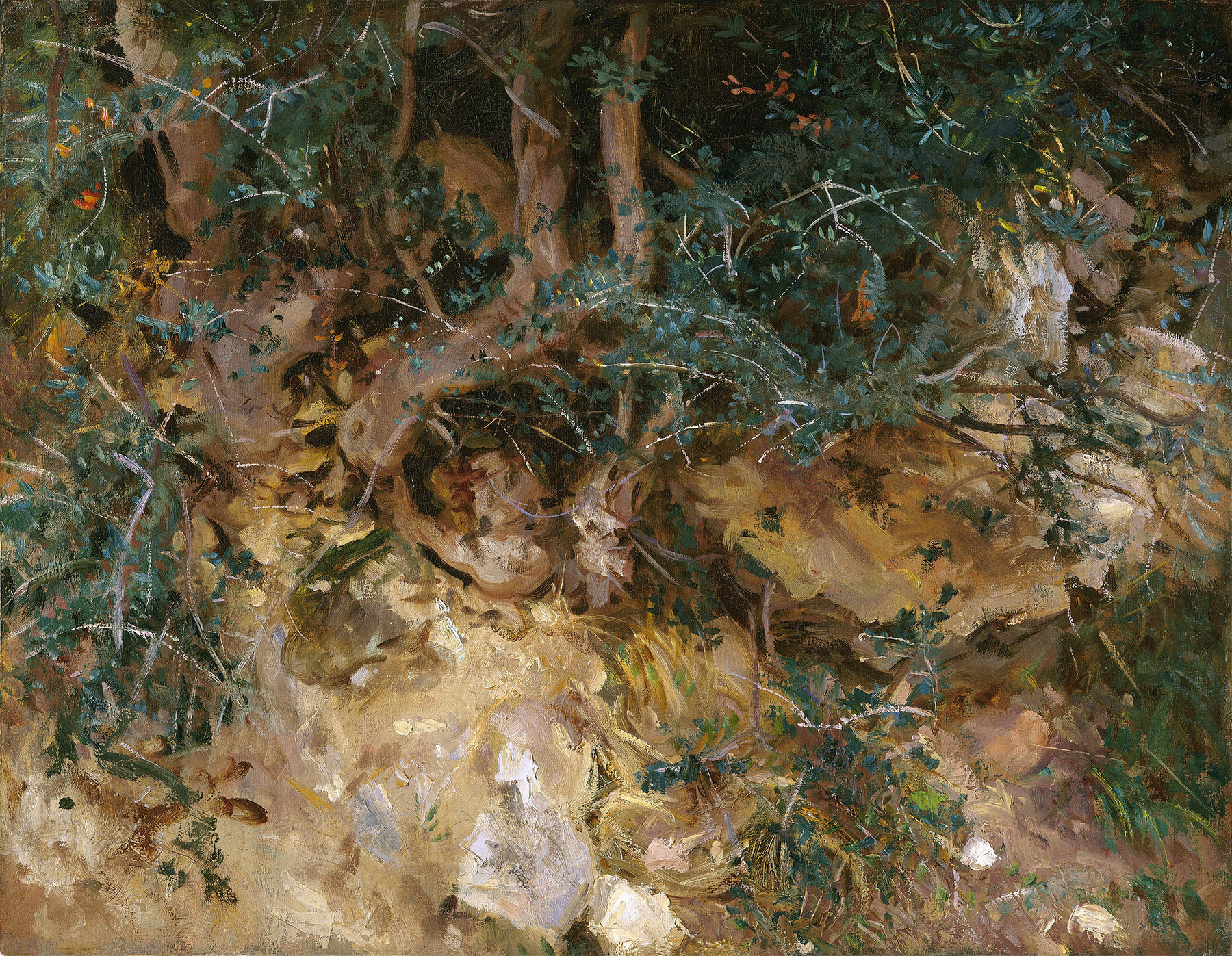 Thistles and herbage on a hillside, oil on canvas by John Singer Sargent