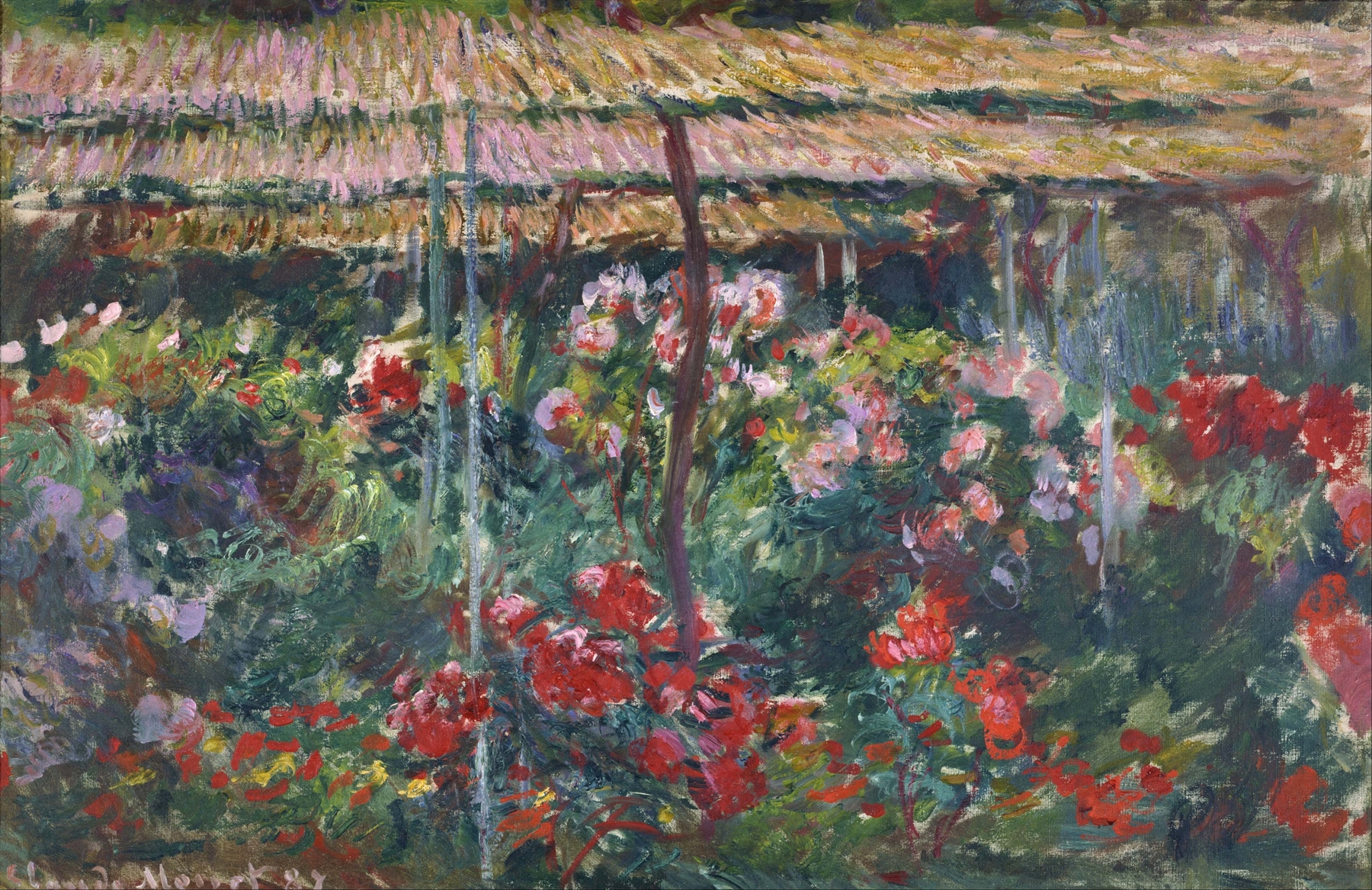 Peony Garden by Claude Monet, oil painting of a vibrant garden filled with blooming peonies.