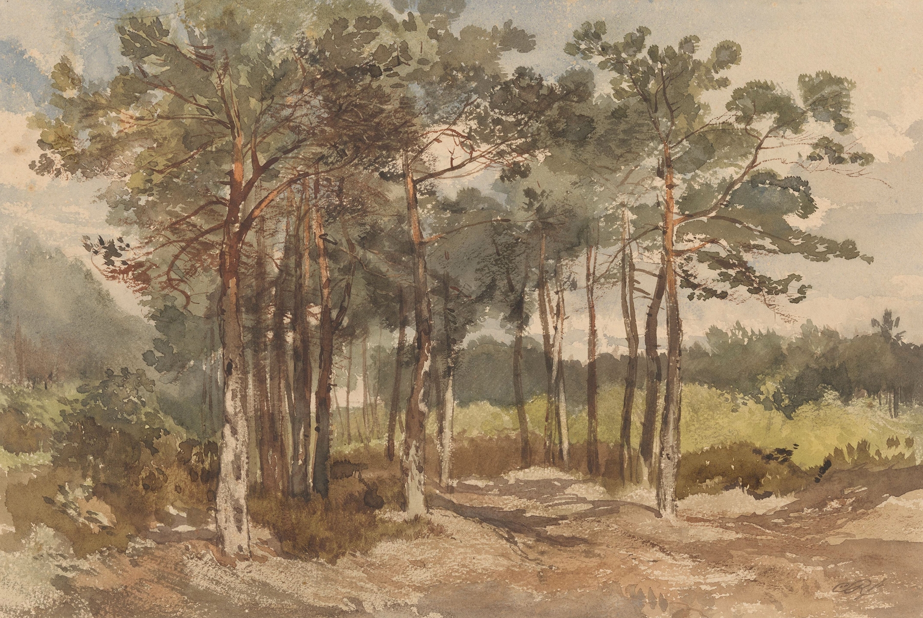 Forest scene with trees and dappled light, oil on canvas by Charles Rochussen