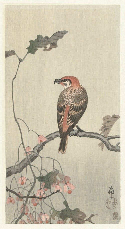 A detailed woodblock print featuring a crossbill perched on a tree branch.