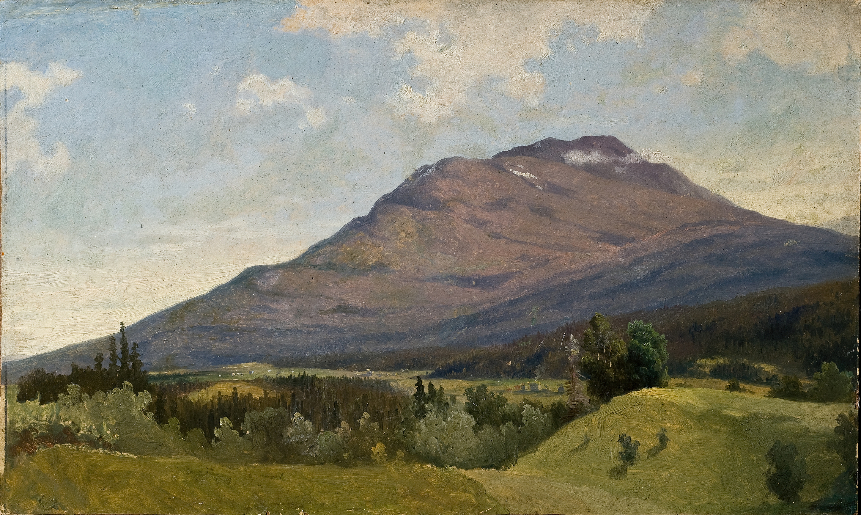 Summer Landscape with Mountain by Gustaf Wilhelm Palm, oil painting depicting rolling hills and vibrant greenery.