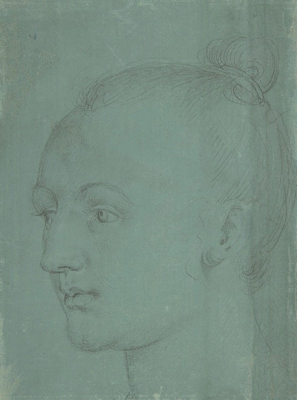 A portrait of a young woman by Albrecht Dürer.